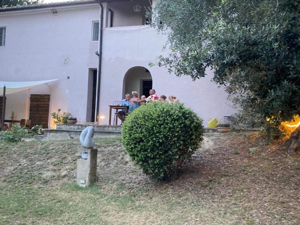 Photo 35