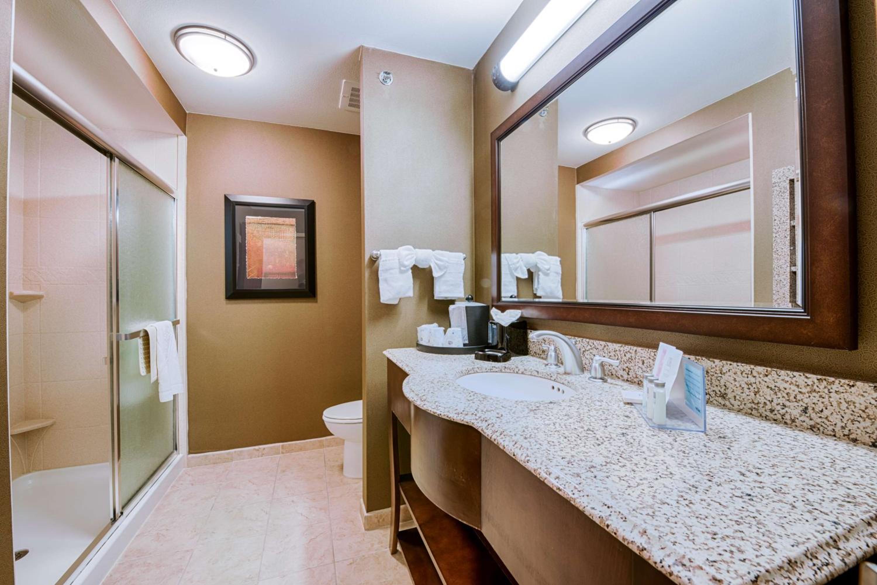 Hampton Inn & Suites Pinedale, Zdjęcie 3