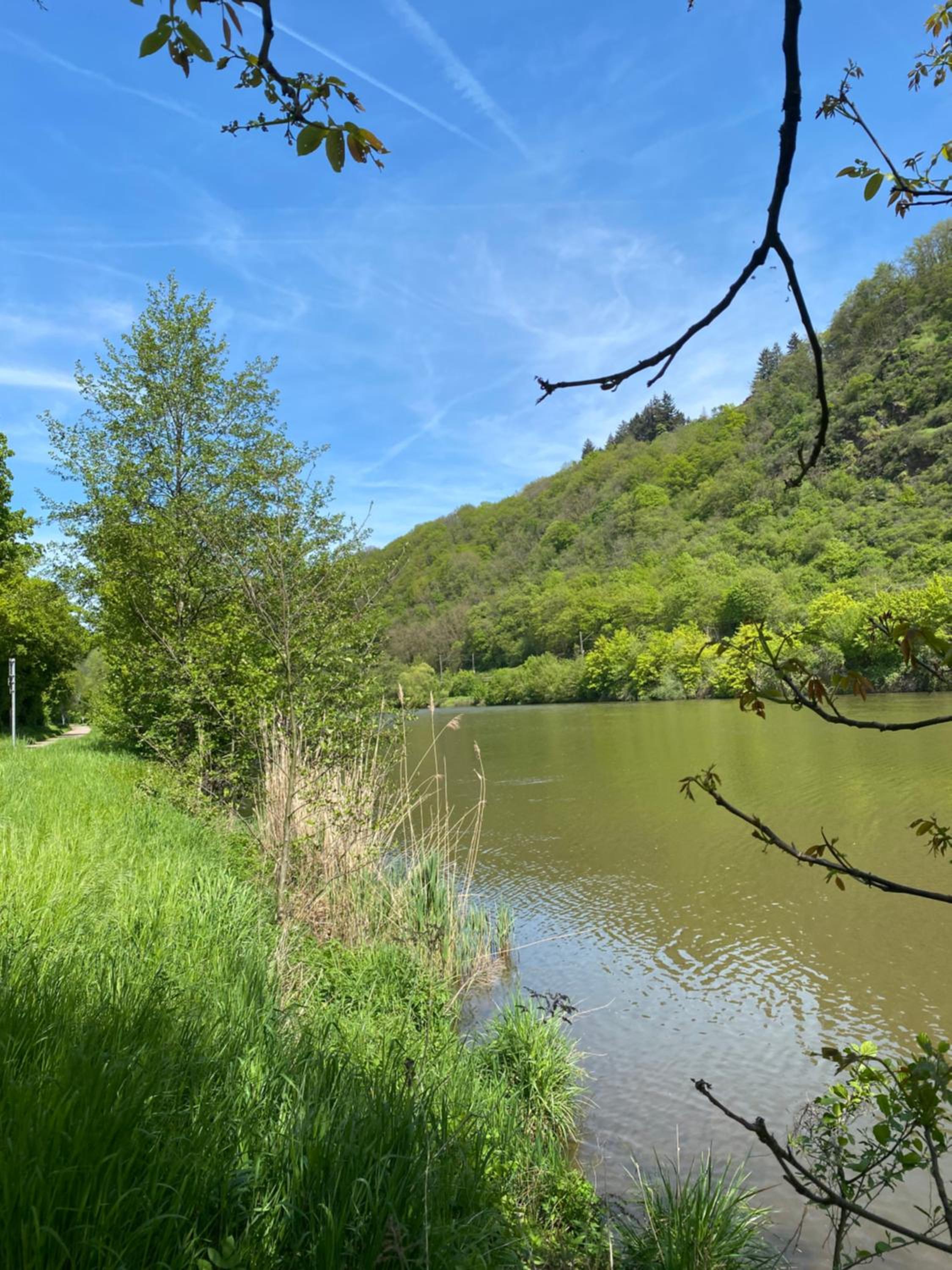 Ferienwohnung an der Saar