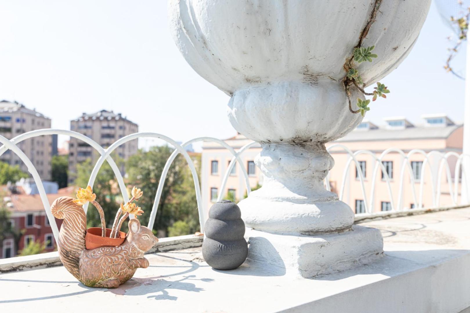 Città Studi Terrace Suite with Jacuzzi - Top Collection