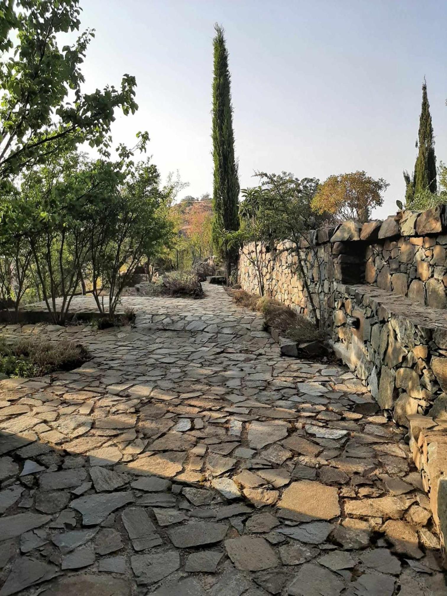FIKARDOU ALMOND PARK