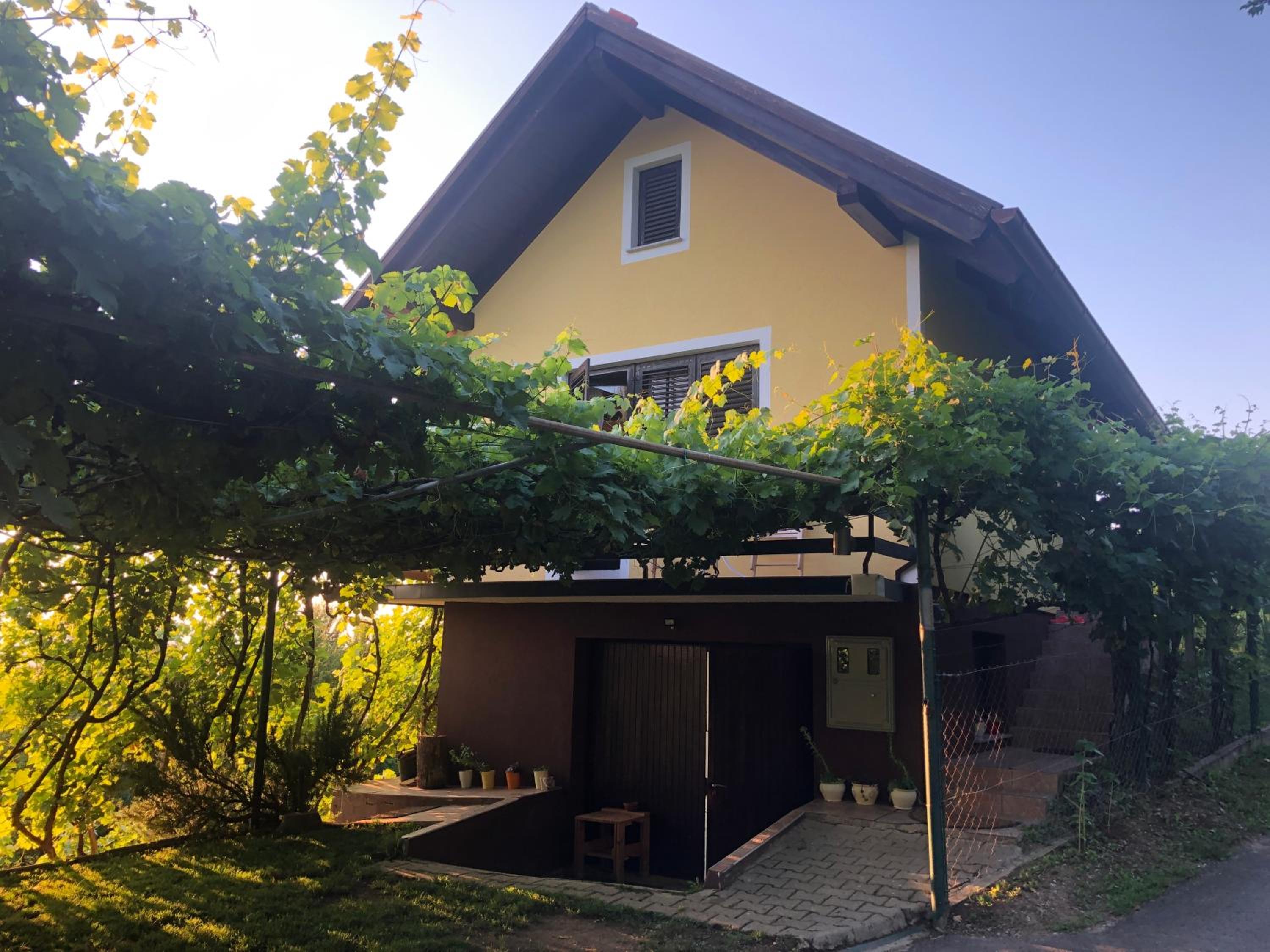 Adorable guesthouse in the middle of vineyards