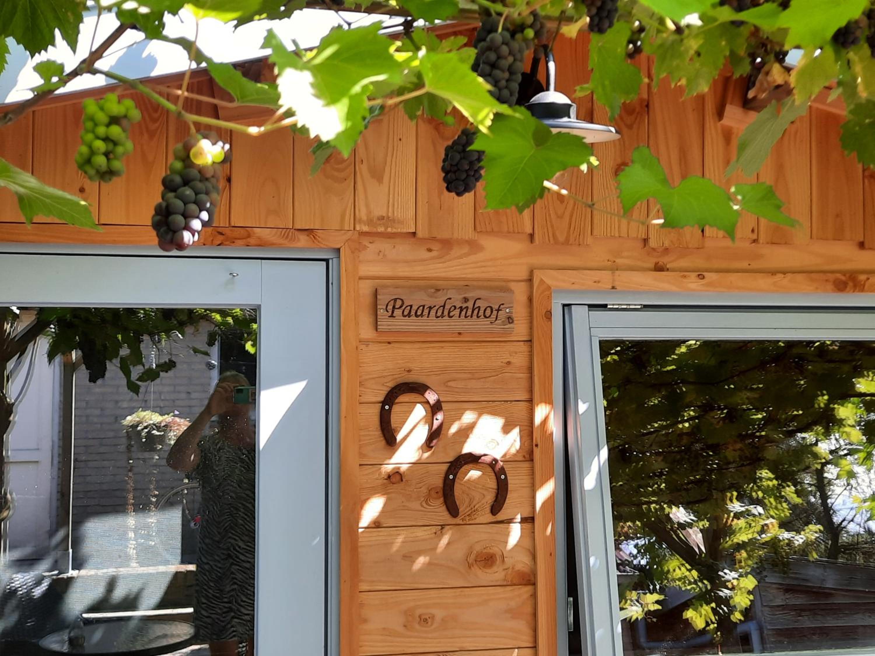 B&B Paardenhof view 4