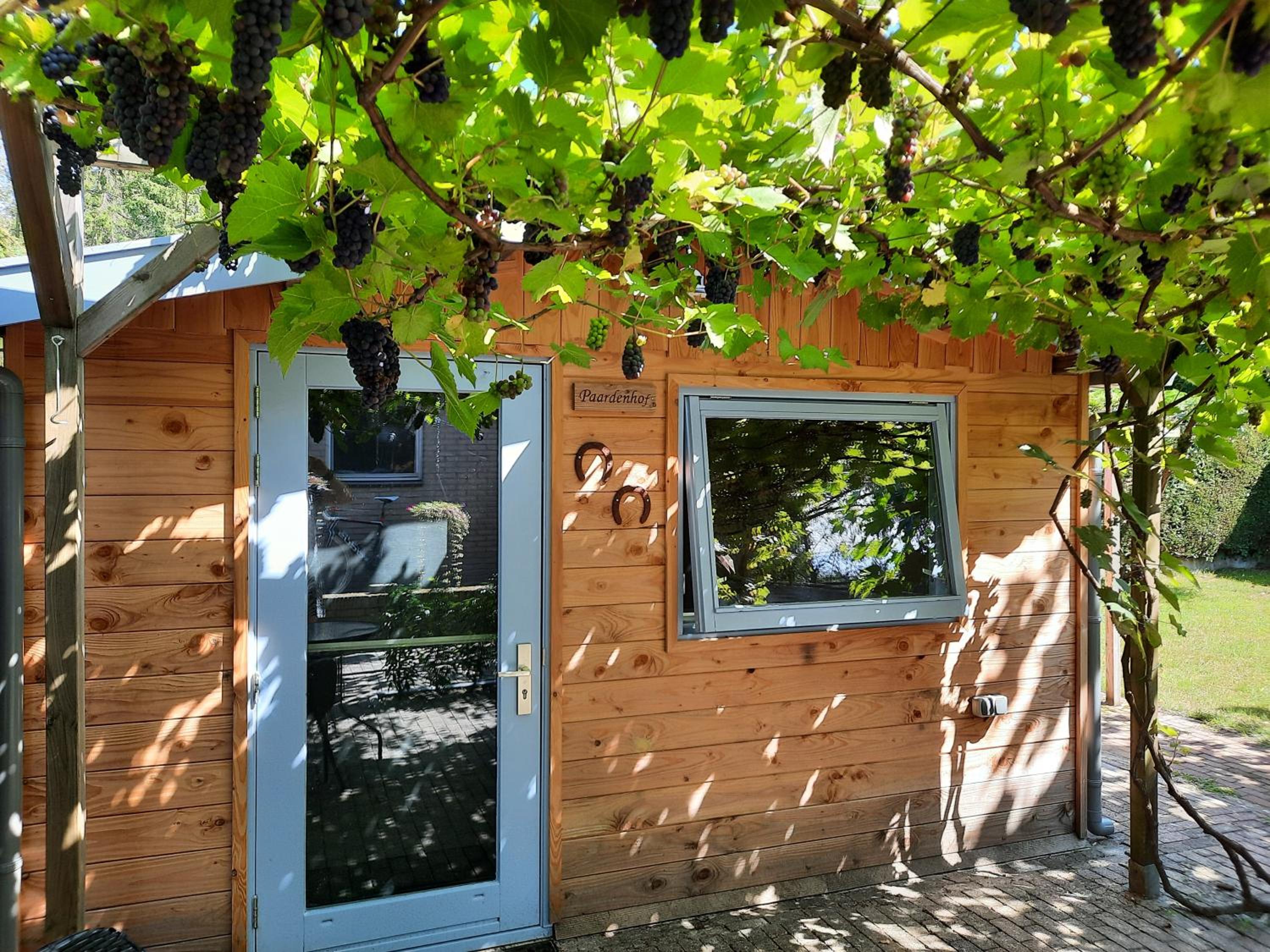 B&B Paardenhof view 3