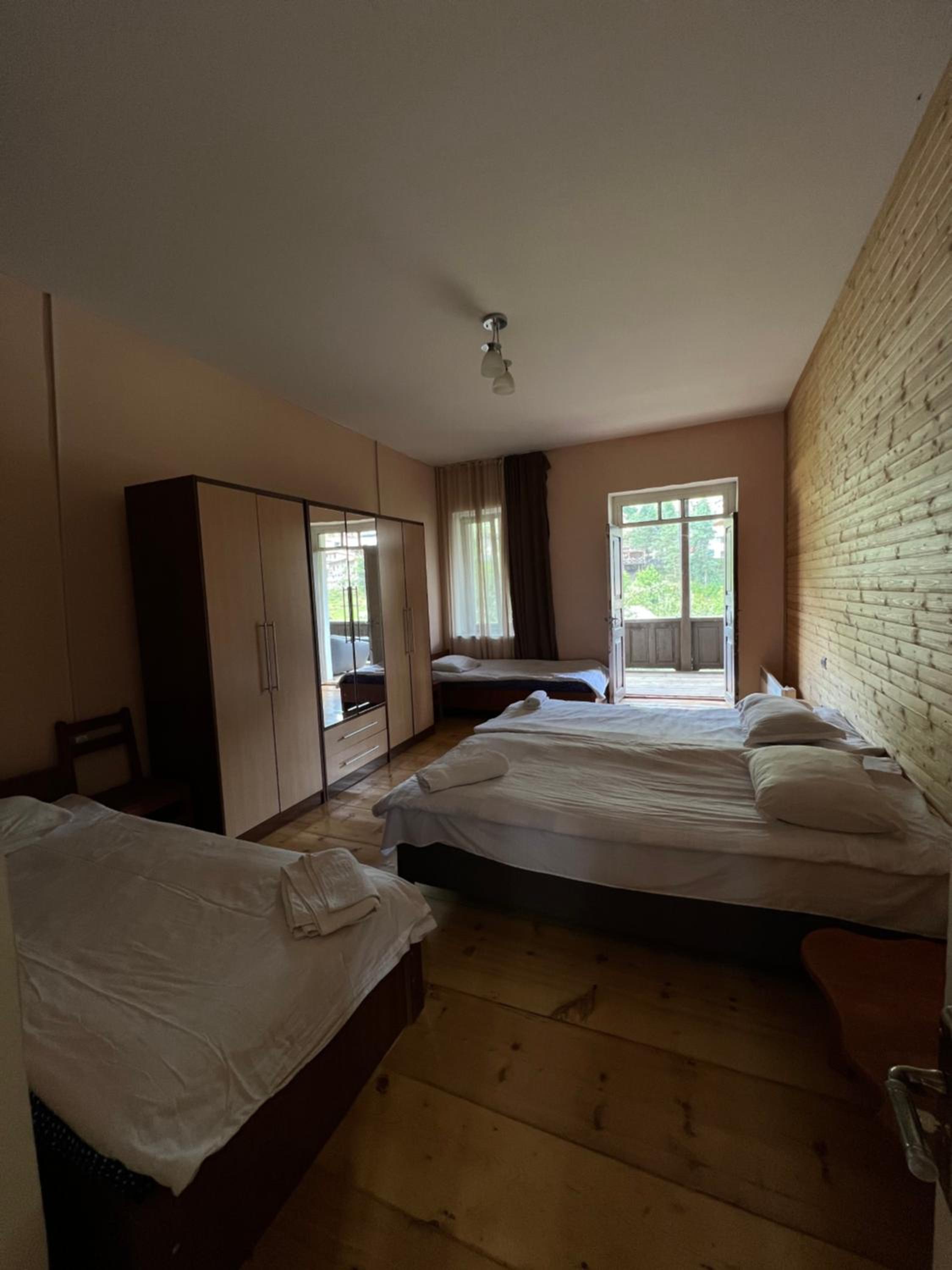 Mushkudiani Manor view 4