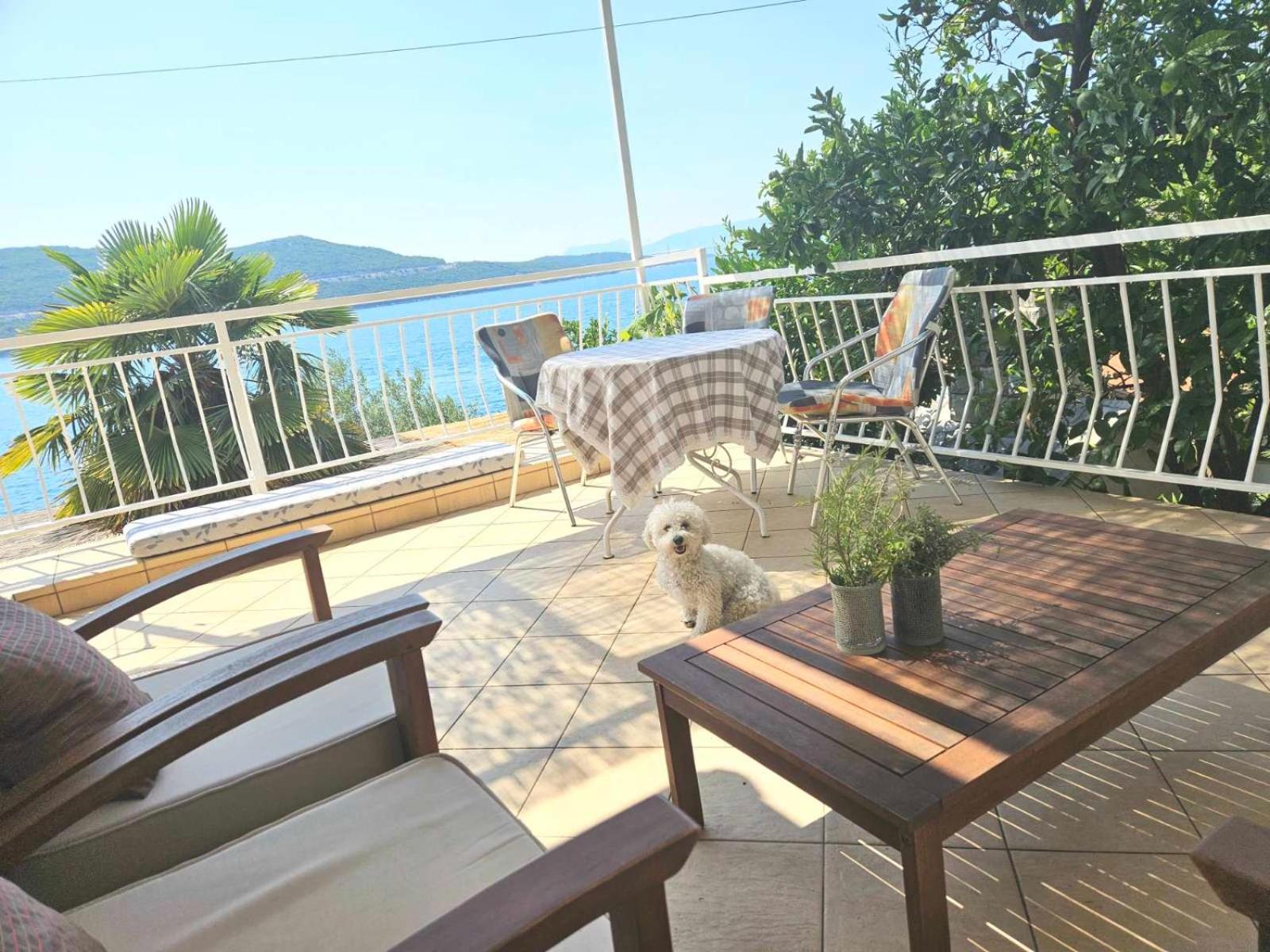 Orange Tree Mediterranean Beachfront House