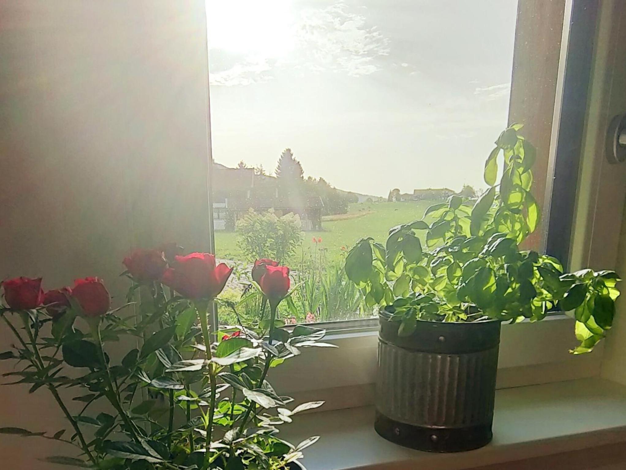 Ferienwohnung Werner
