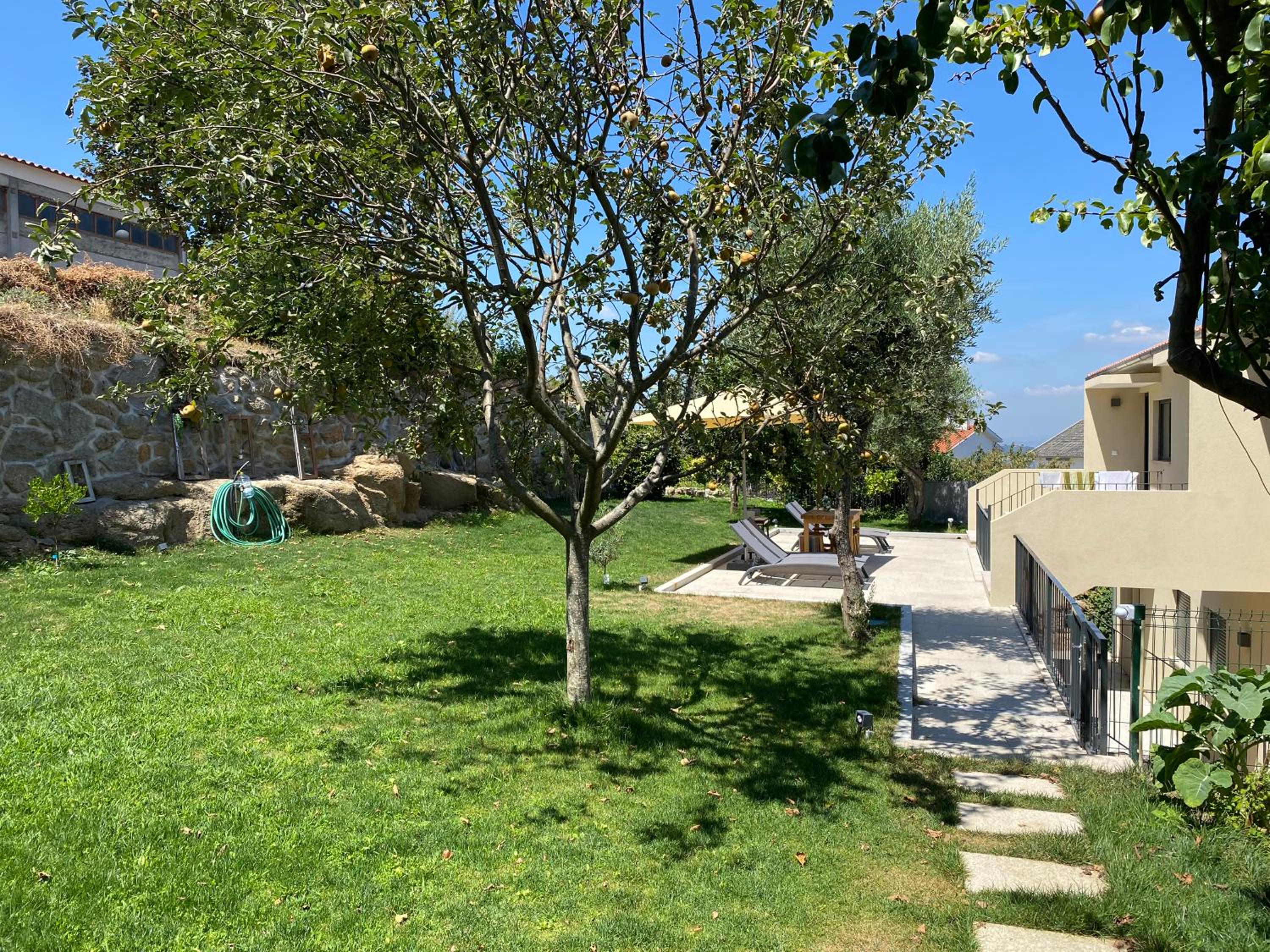Casa da Zéfinha - Villa, em Cinfães, no Douro view 4