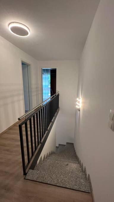 Modernes Apartment