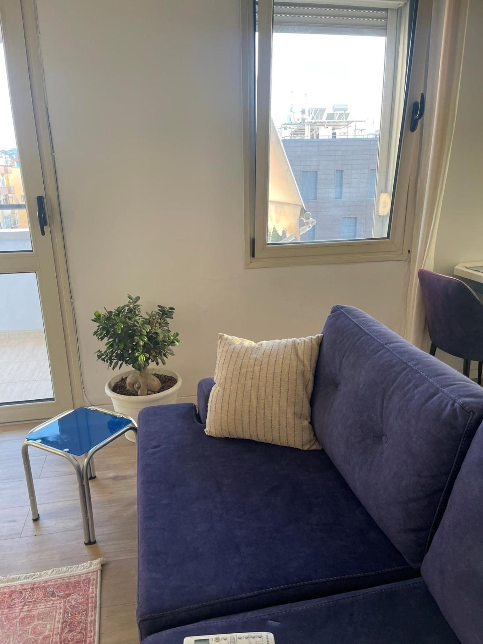 Urban Comfort Oasis