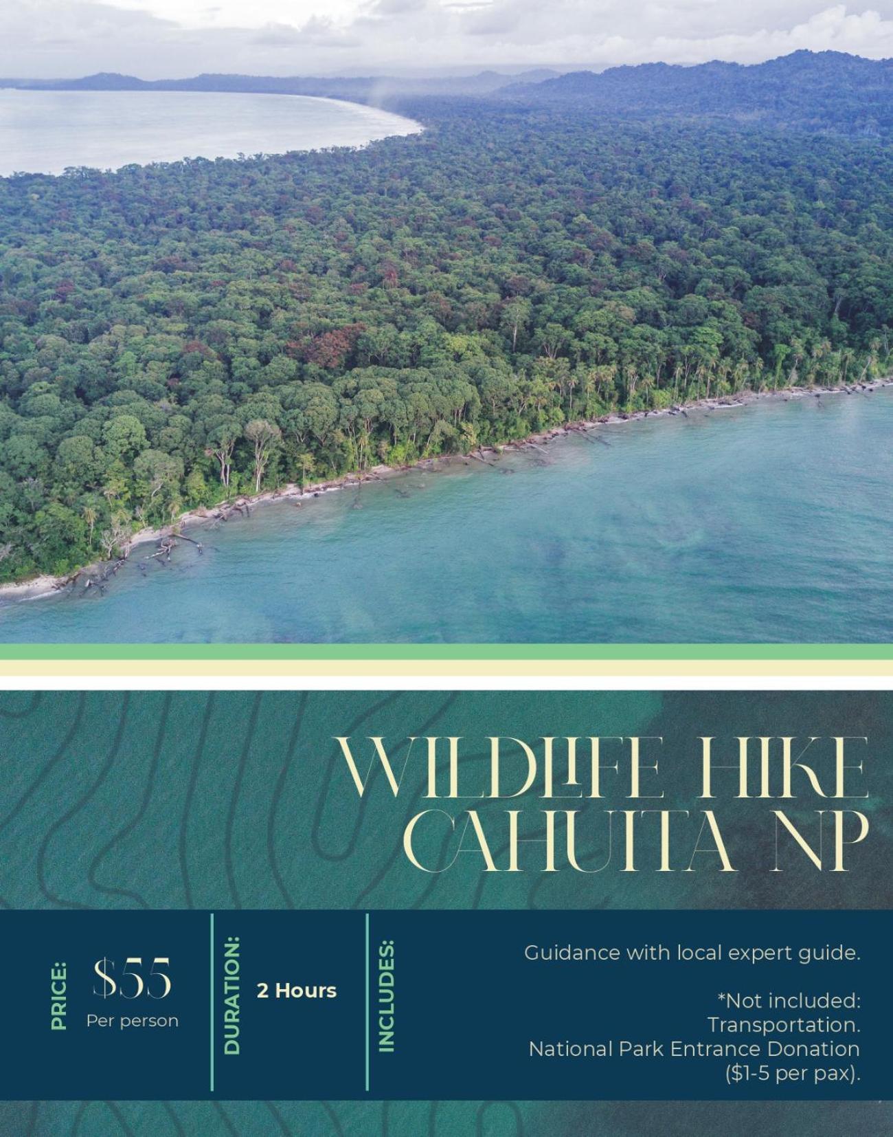 Osos Caribeños - with Garden - 400m from the Beach