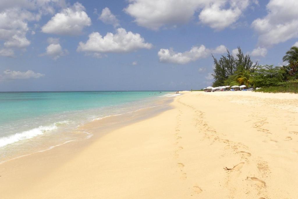 Spinnaker, #127 Port St. Charles Marina, Speightstown - Waterfront Luxury