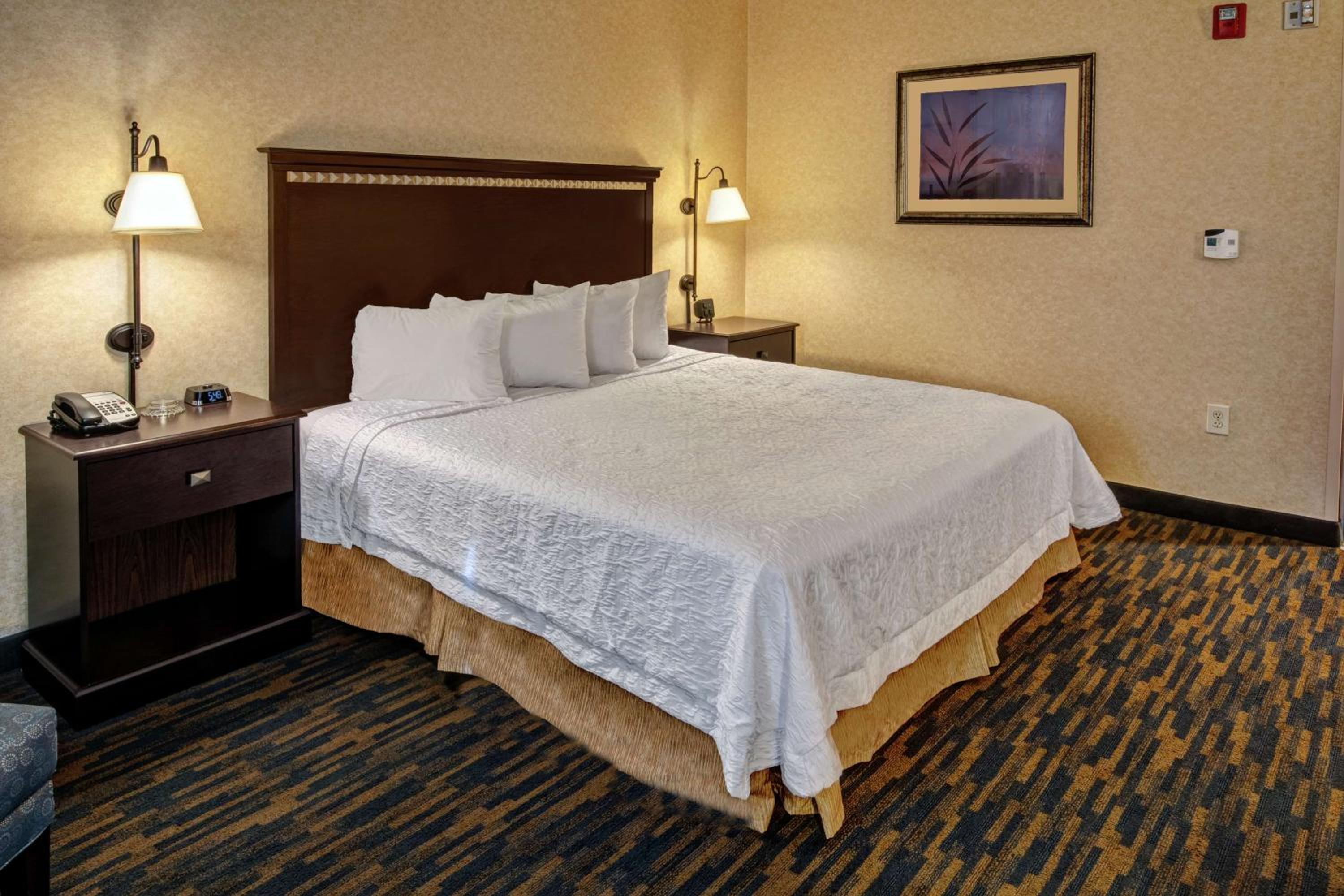 Roanoke Rapids Vacations - Hampton Inn Roanoke Rapids - Property Image 19