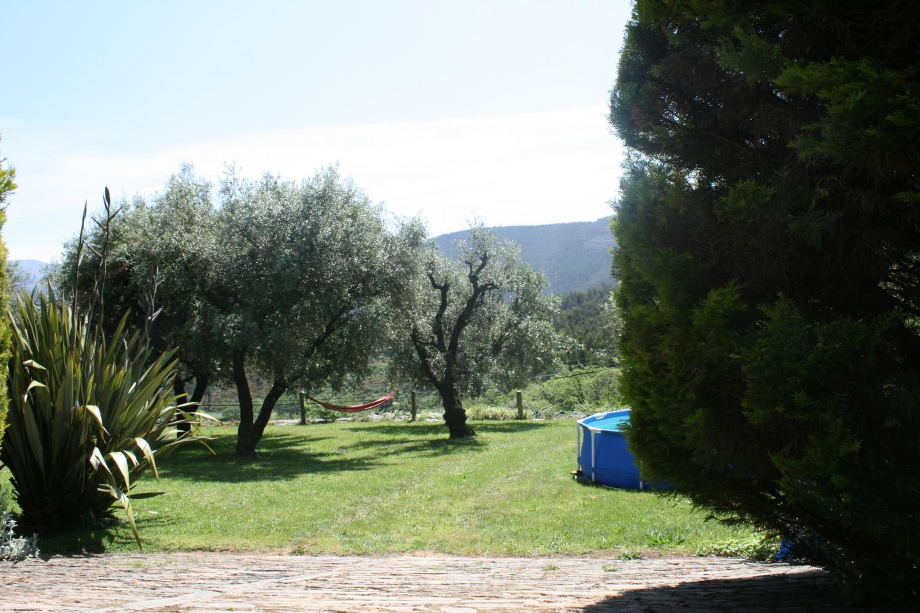 Photo 27