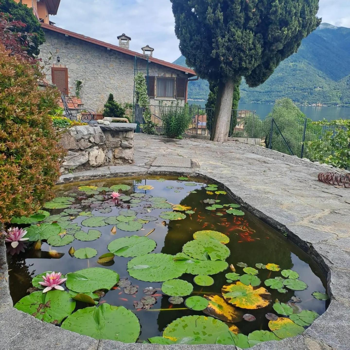 Casamia Juliette