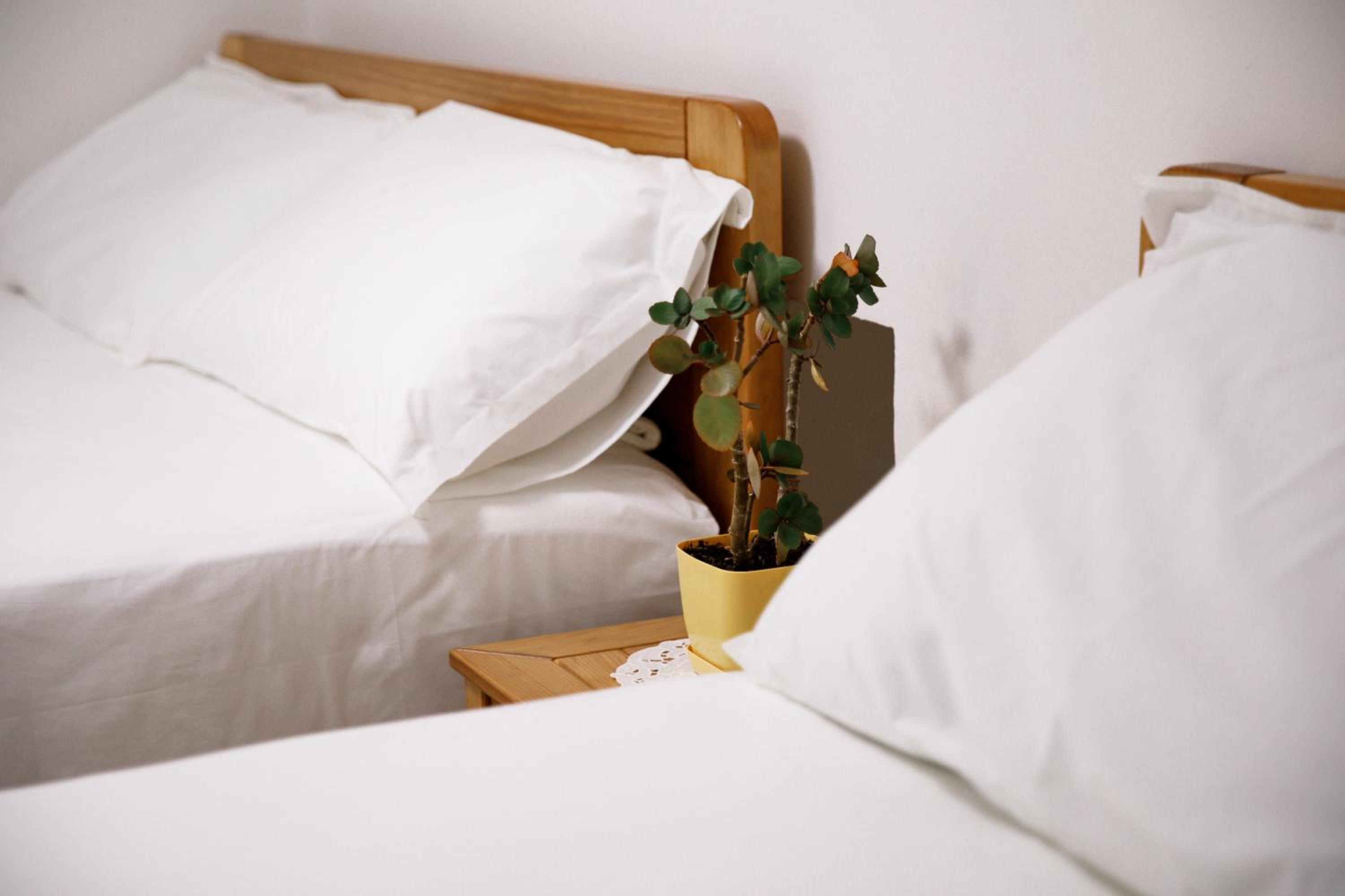 Guesthouse Çani