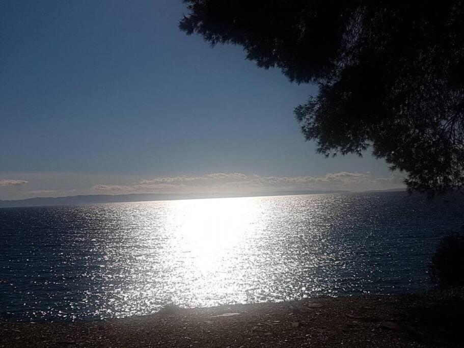 Villa Venus view 5