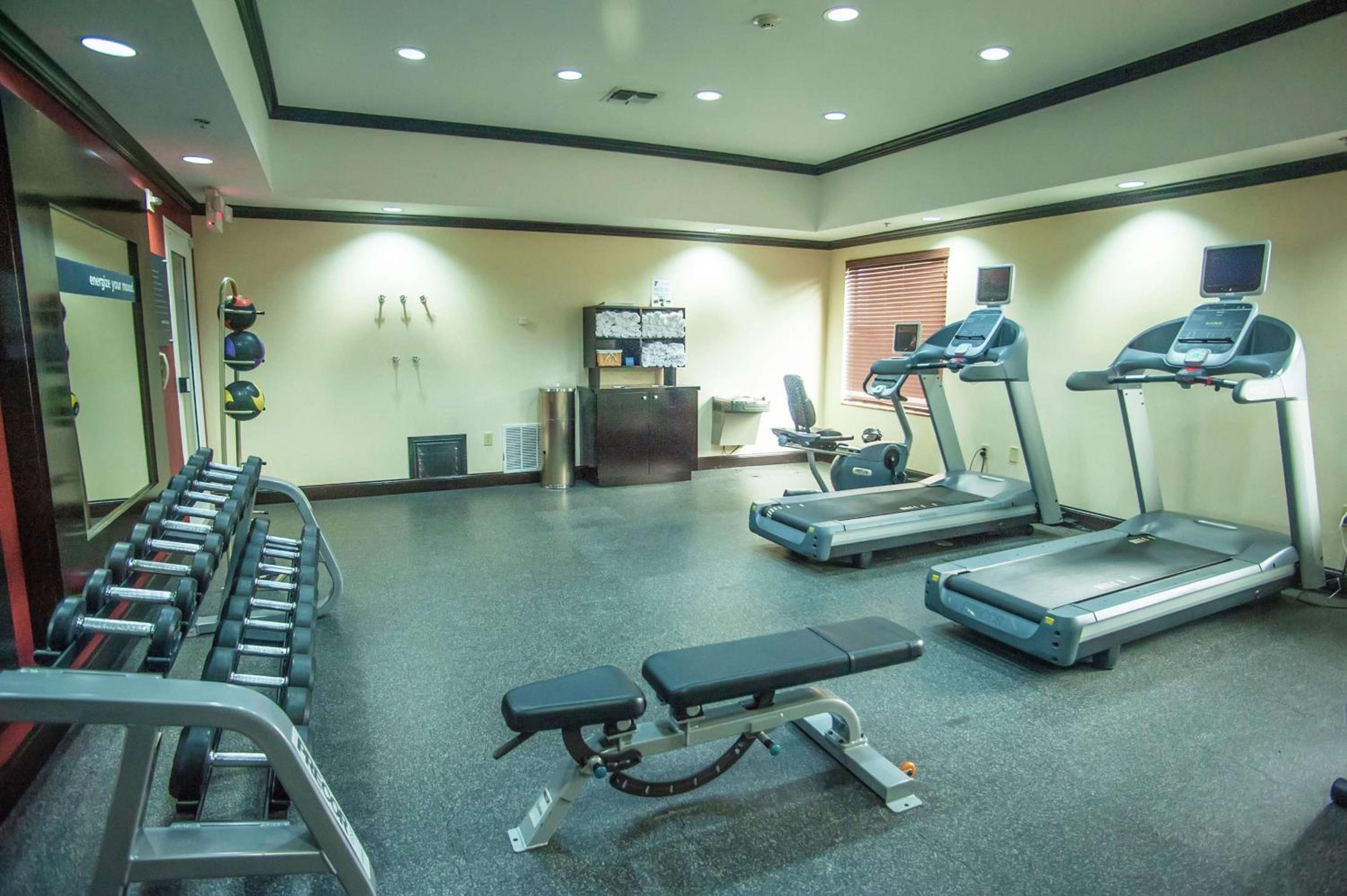 Palestine Vacations - Hampton Inn  Suites Palestine - Property Image 5