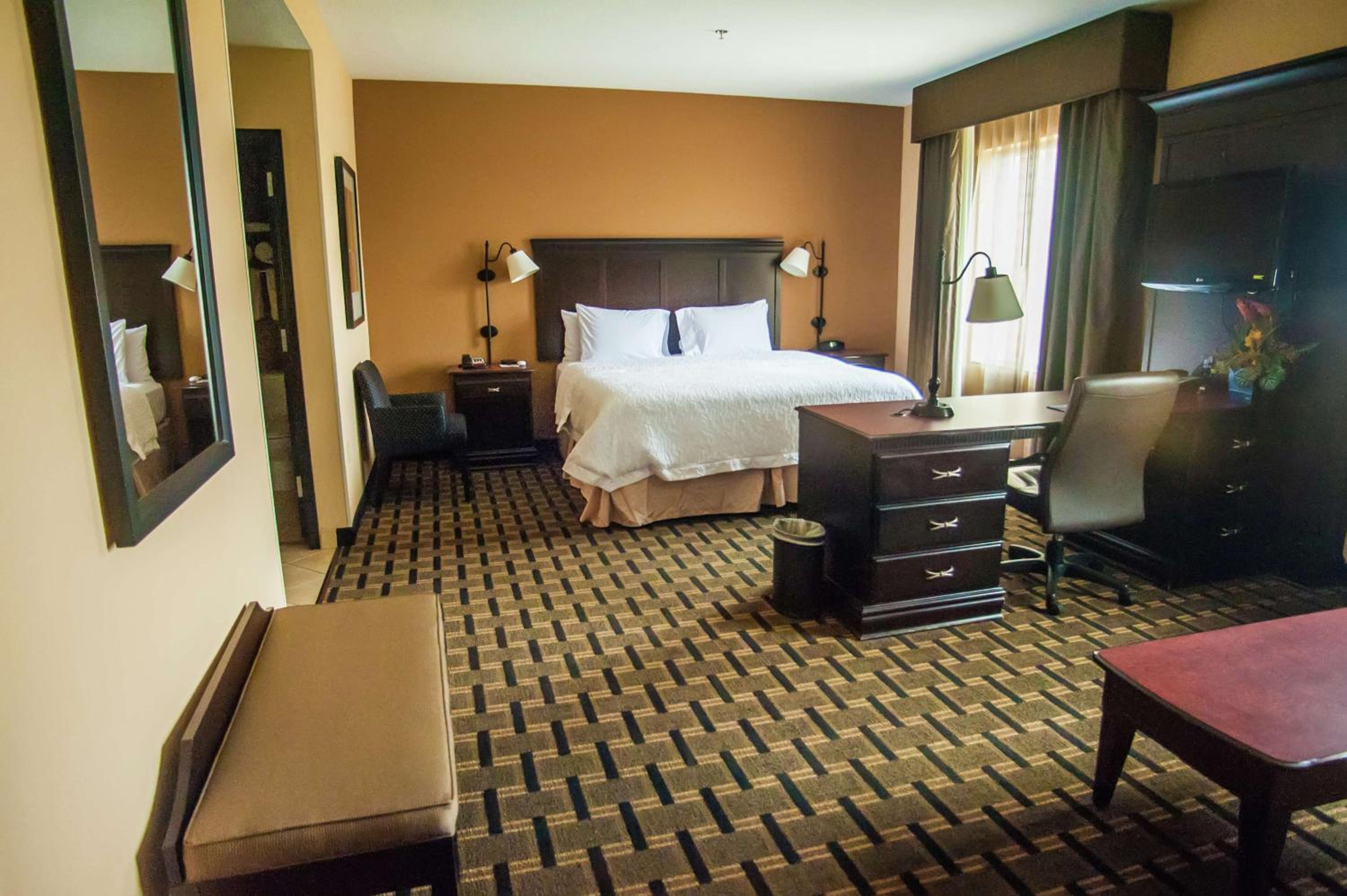 Palestine Vacations - Hampton Inn  Suites Palestine - Property Image 9