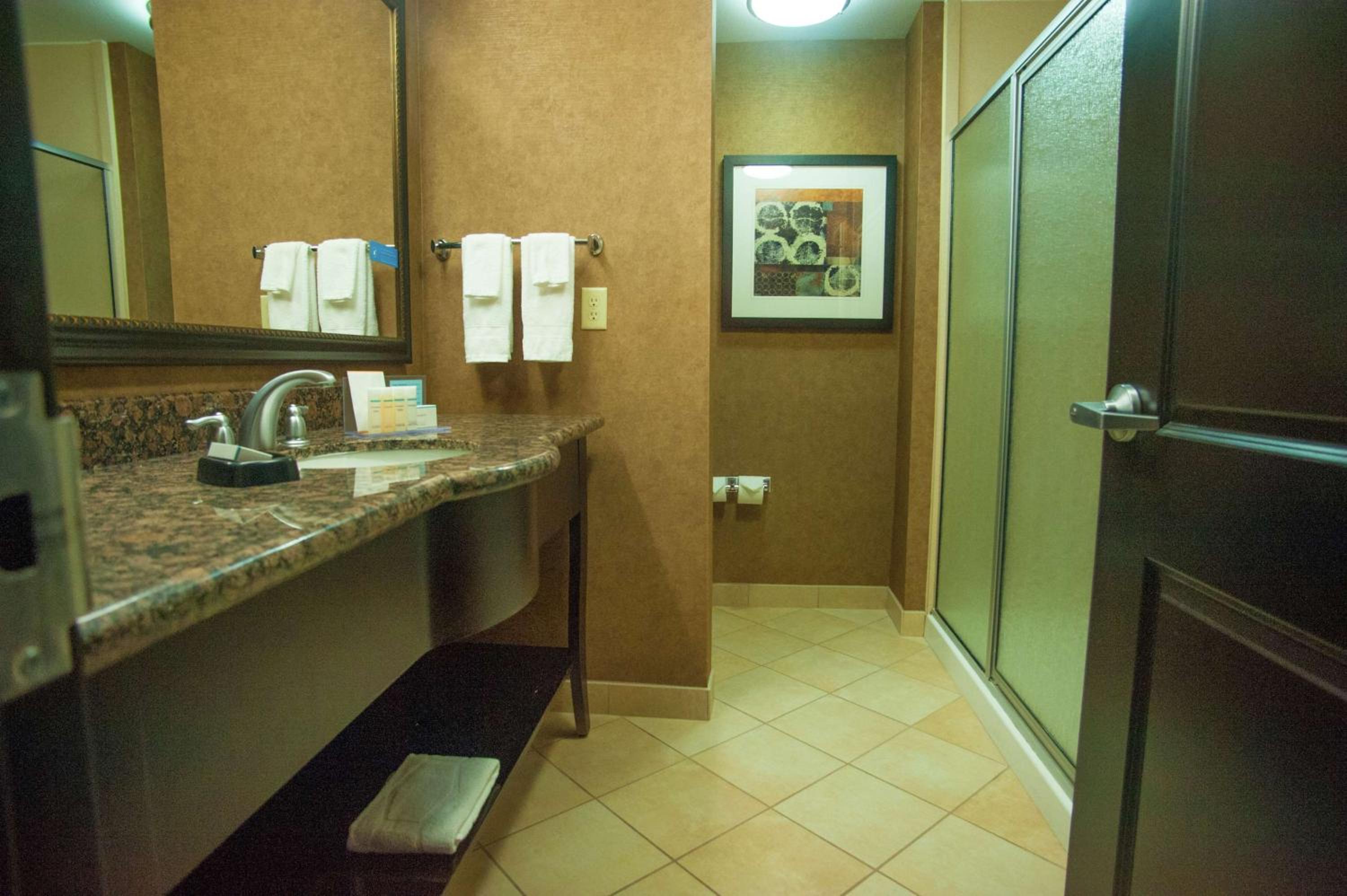 Palestine Vacations - Hampton Inn  Suites Palestine - Property Image 11