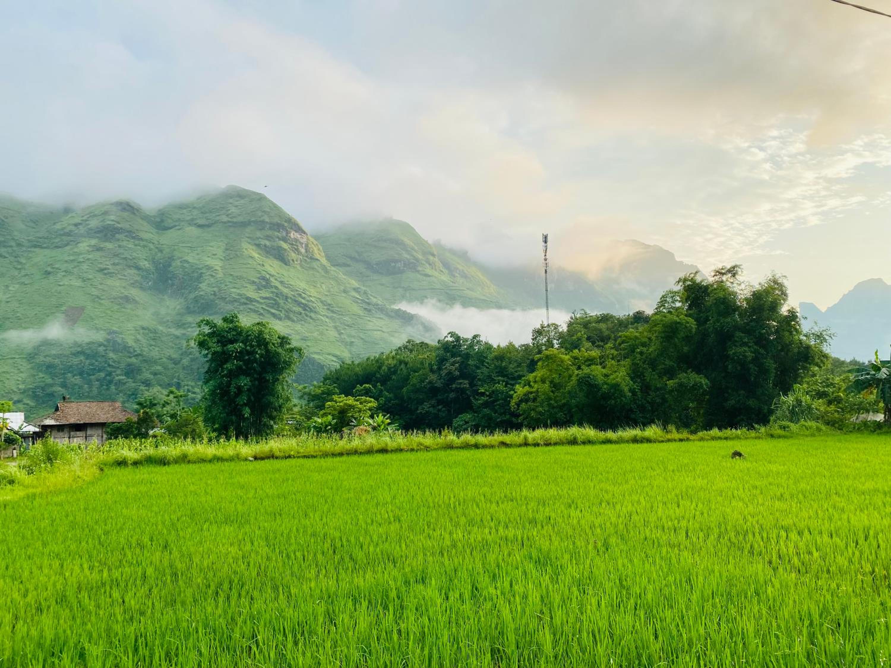 Du Gia Field View Homestay