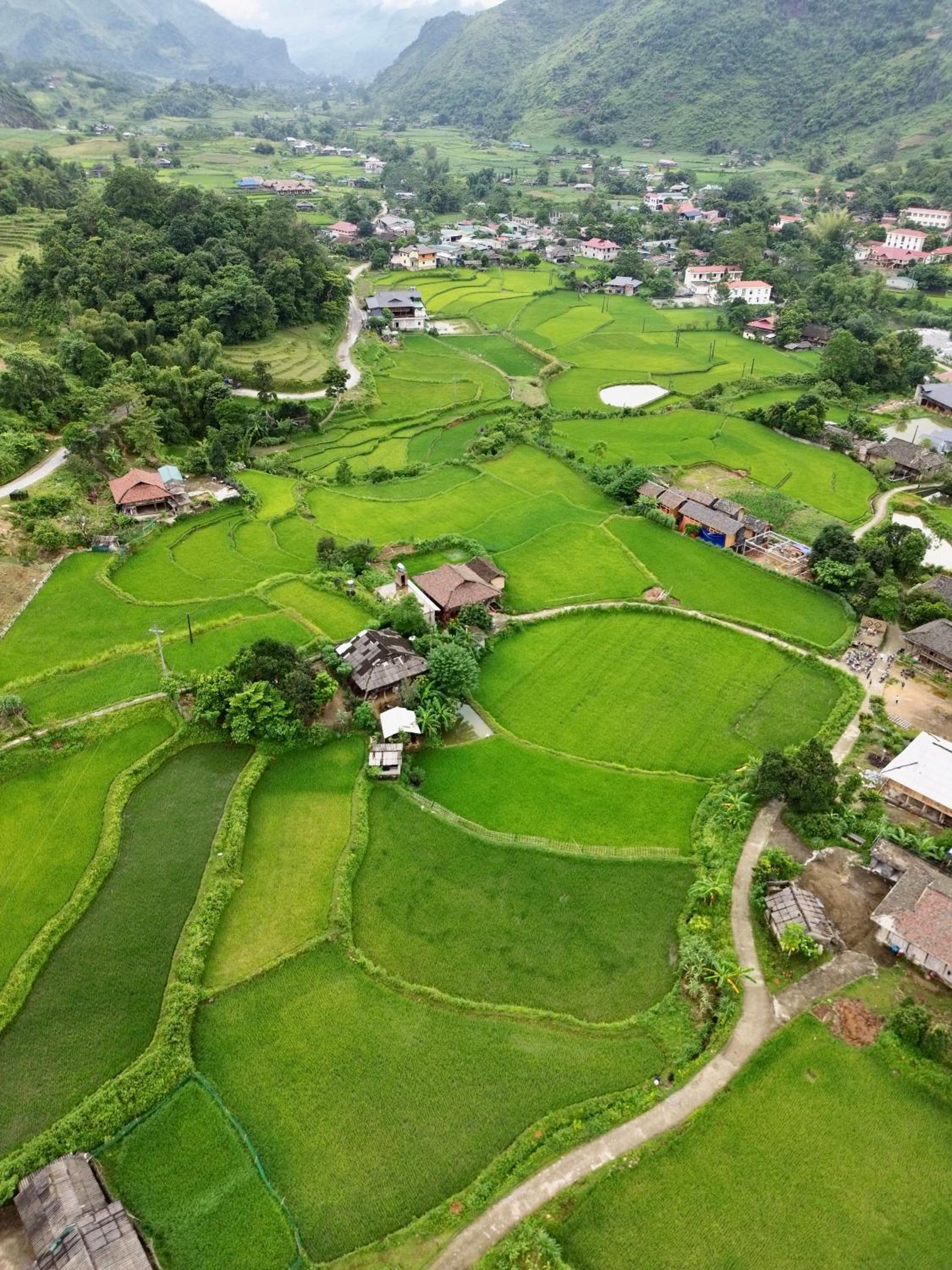Du Gia Field View Homestay