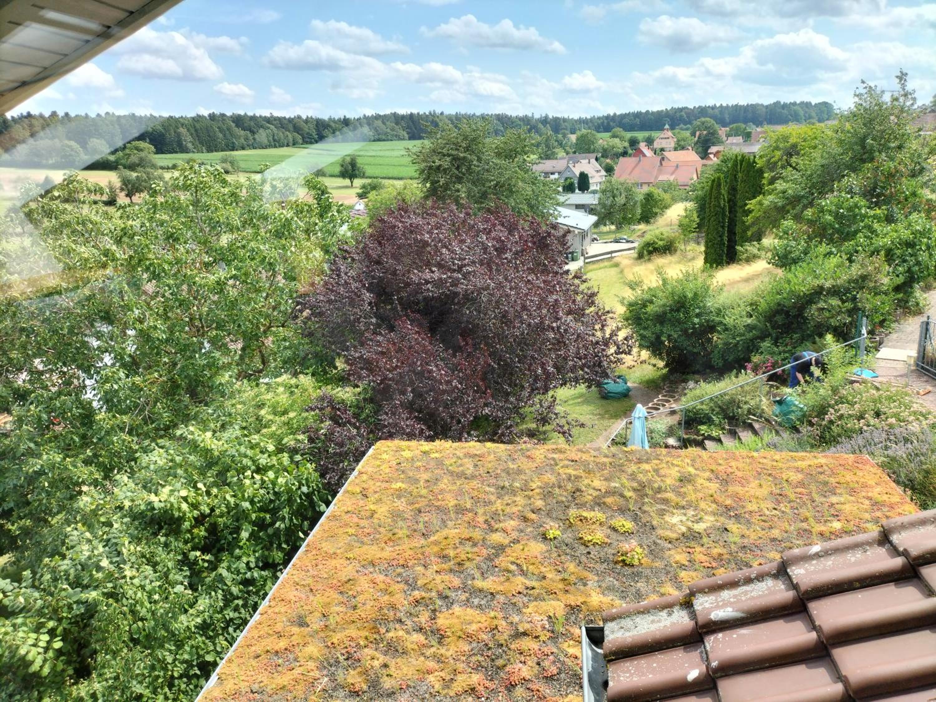 Ausblick Maisenbach