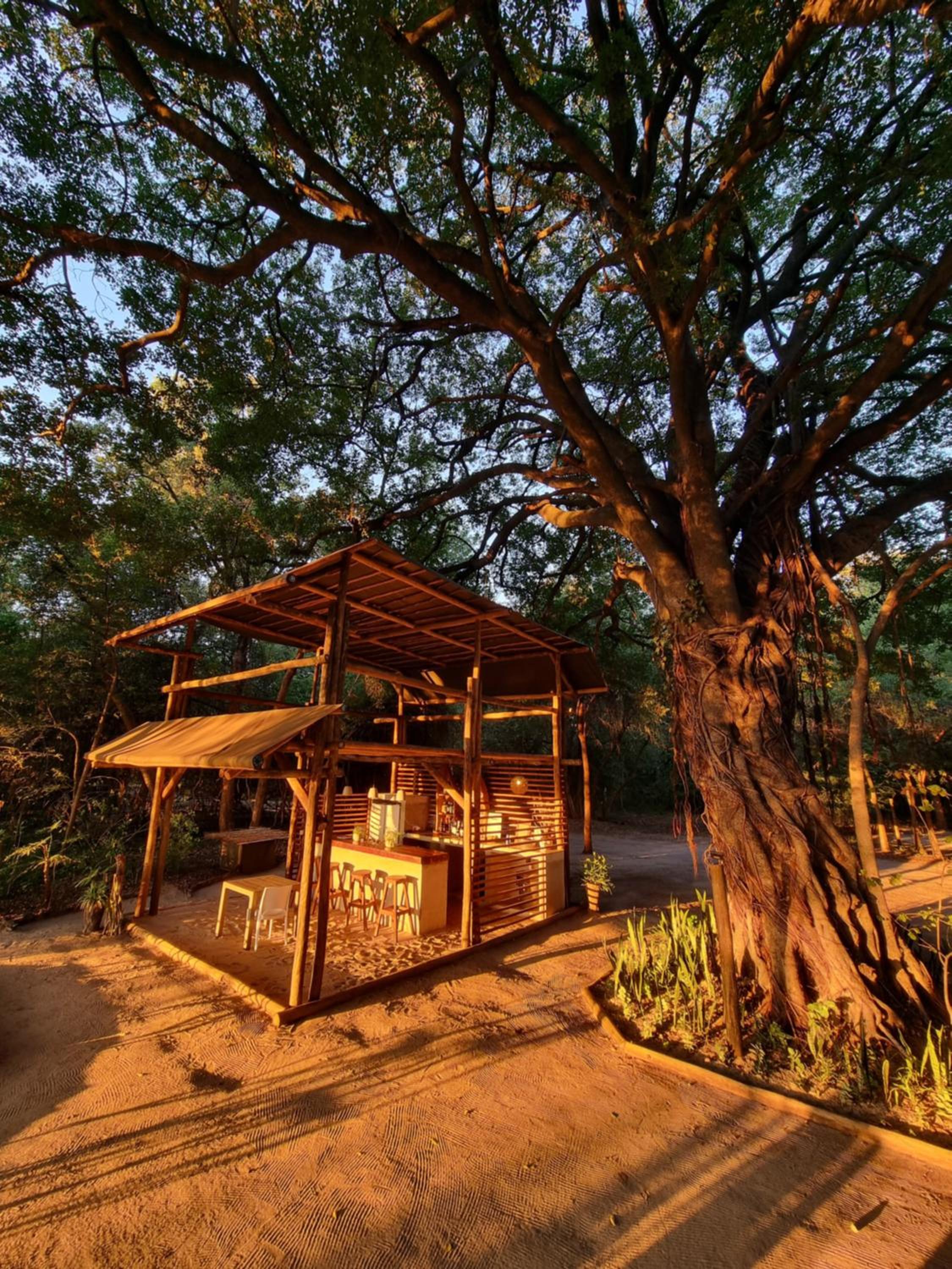 ASKIESBOS - Samochima Bush Camp