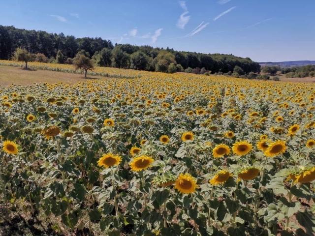 Landhaus N°3