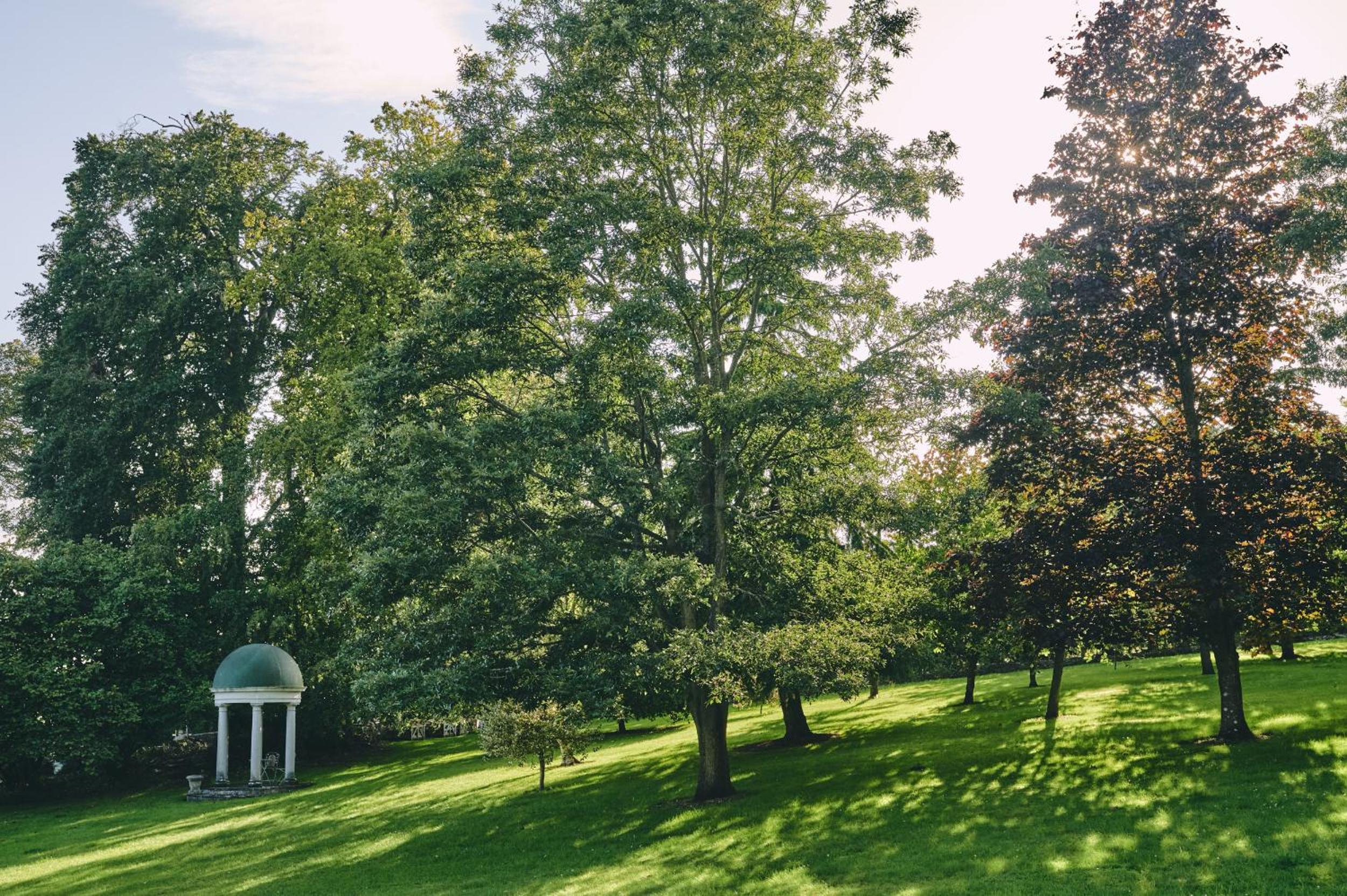 Photo 48