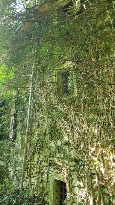 Villa Prada bellezza tra pascoli e lago di Garda
