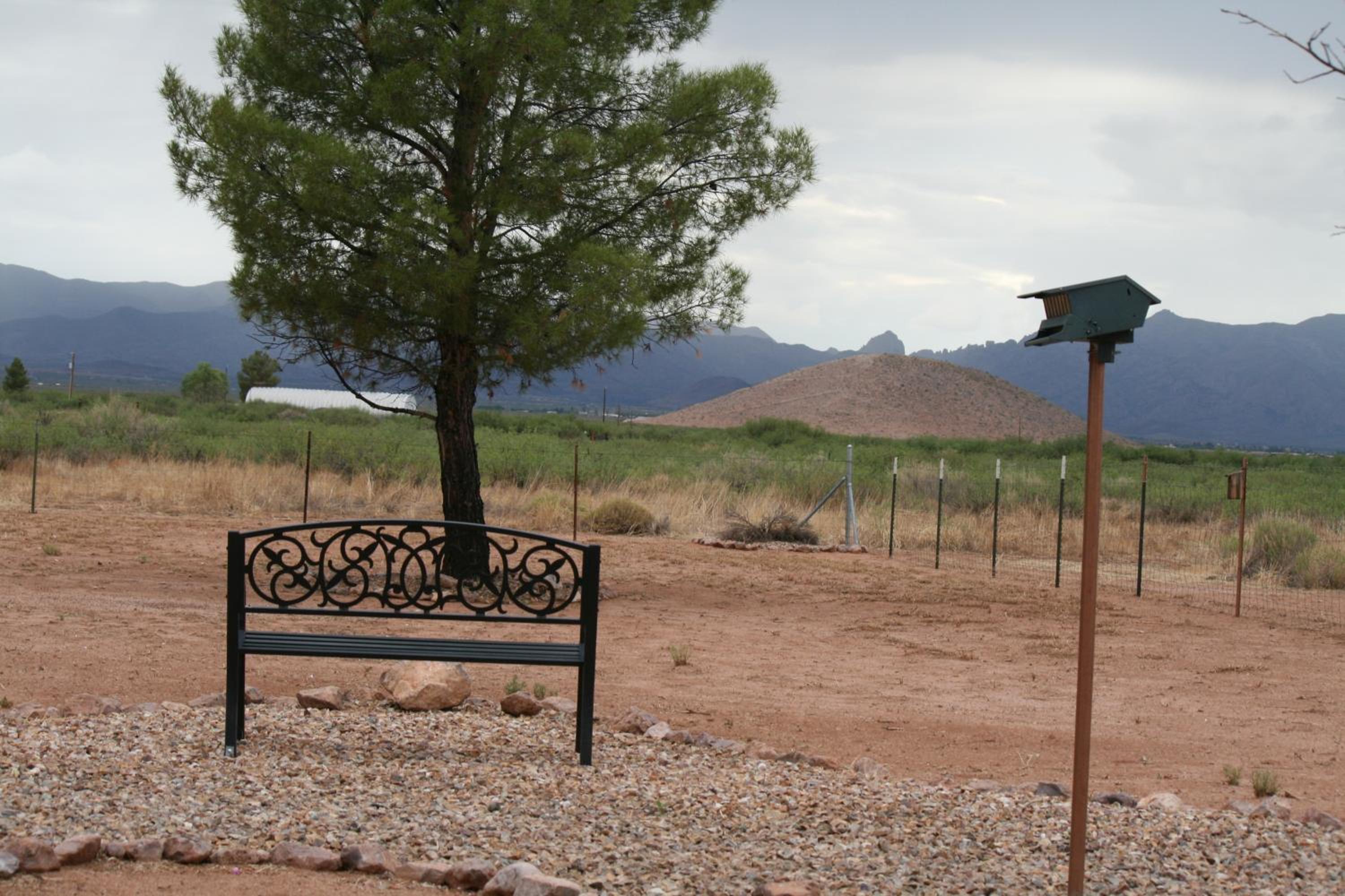 25 Acre Hummingbird Ranch Birdwatching/360 MTN Views/Dark Starry Nights/Arizona view 4