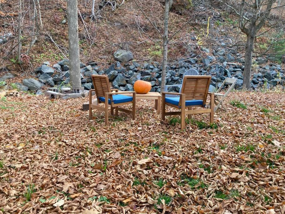 Stream House (The Lorca, Catskills)