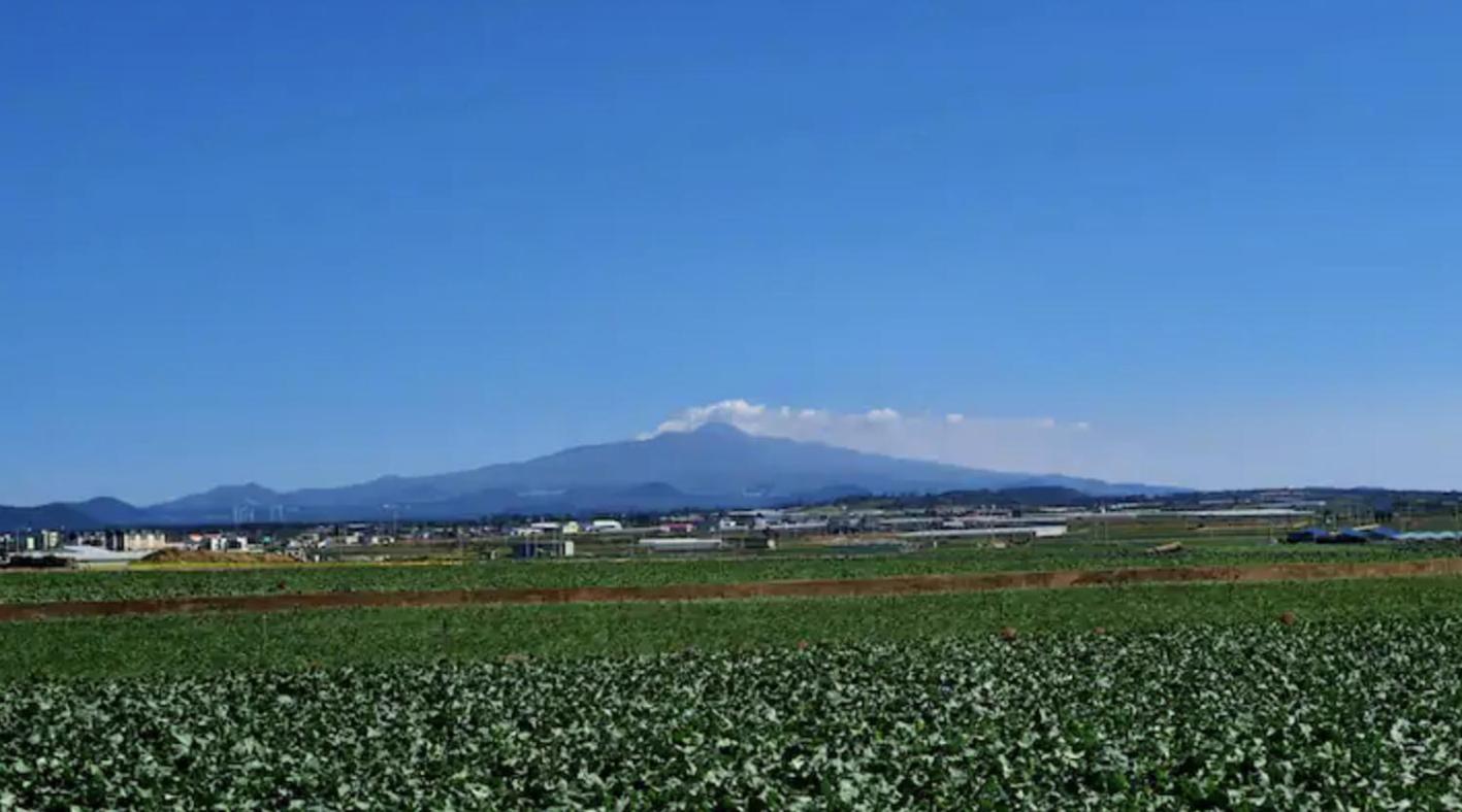 Mirine Jeju 38