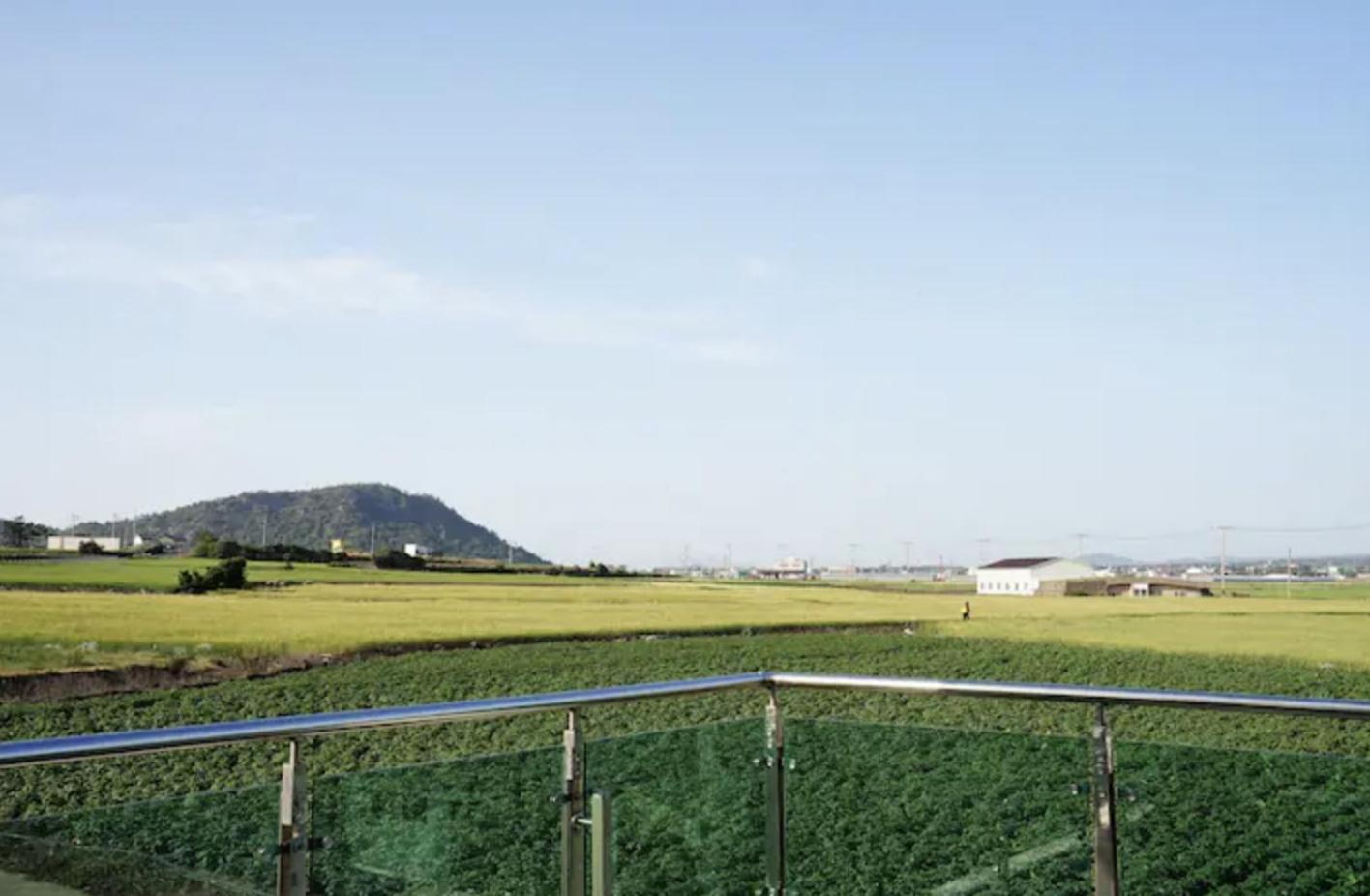 Mirine Jeju 41