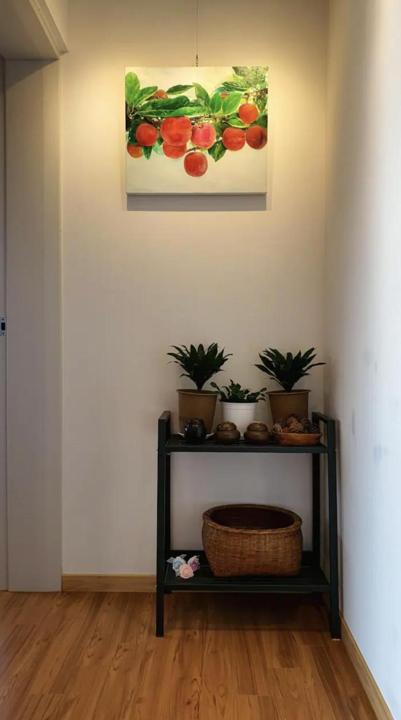 Mirine Jeju 48