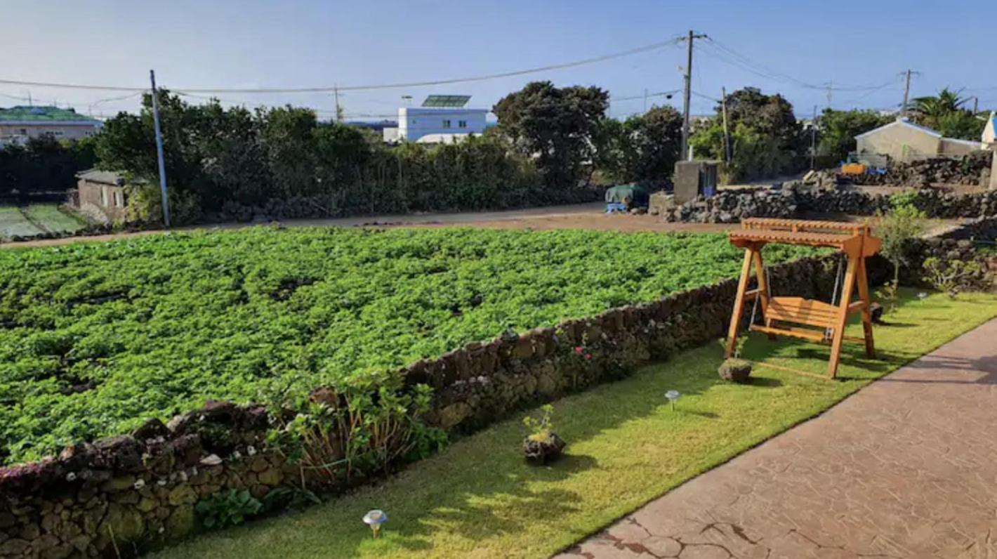Mirine Jeju 56