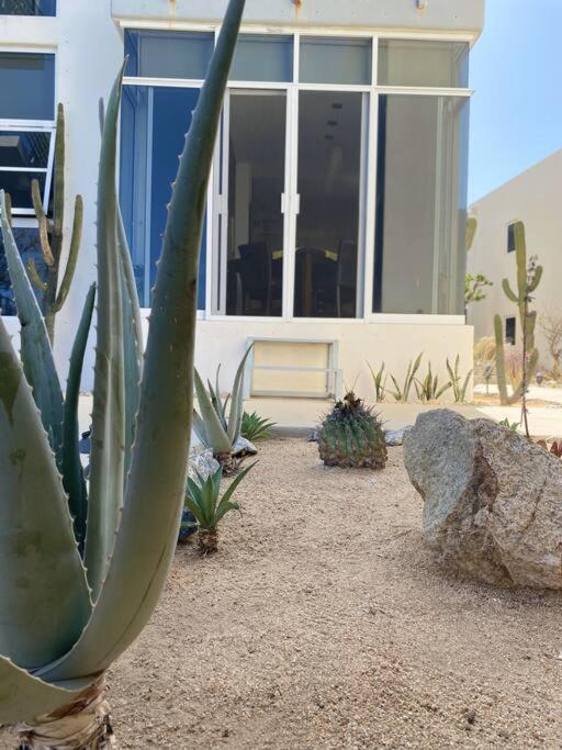 Natural creative space in downtown Cabo! view 4