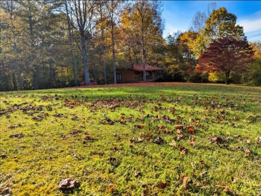 Pet Friendly & Cozy Cabin w/ Hot Tub & Fireplace - Anna view 5
