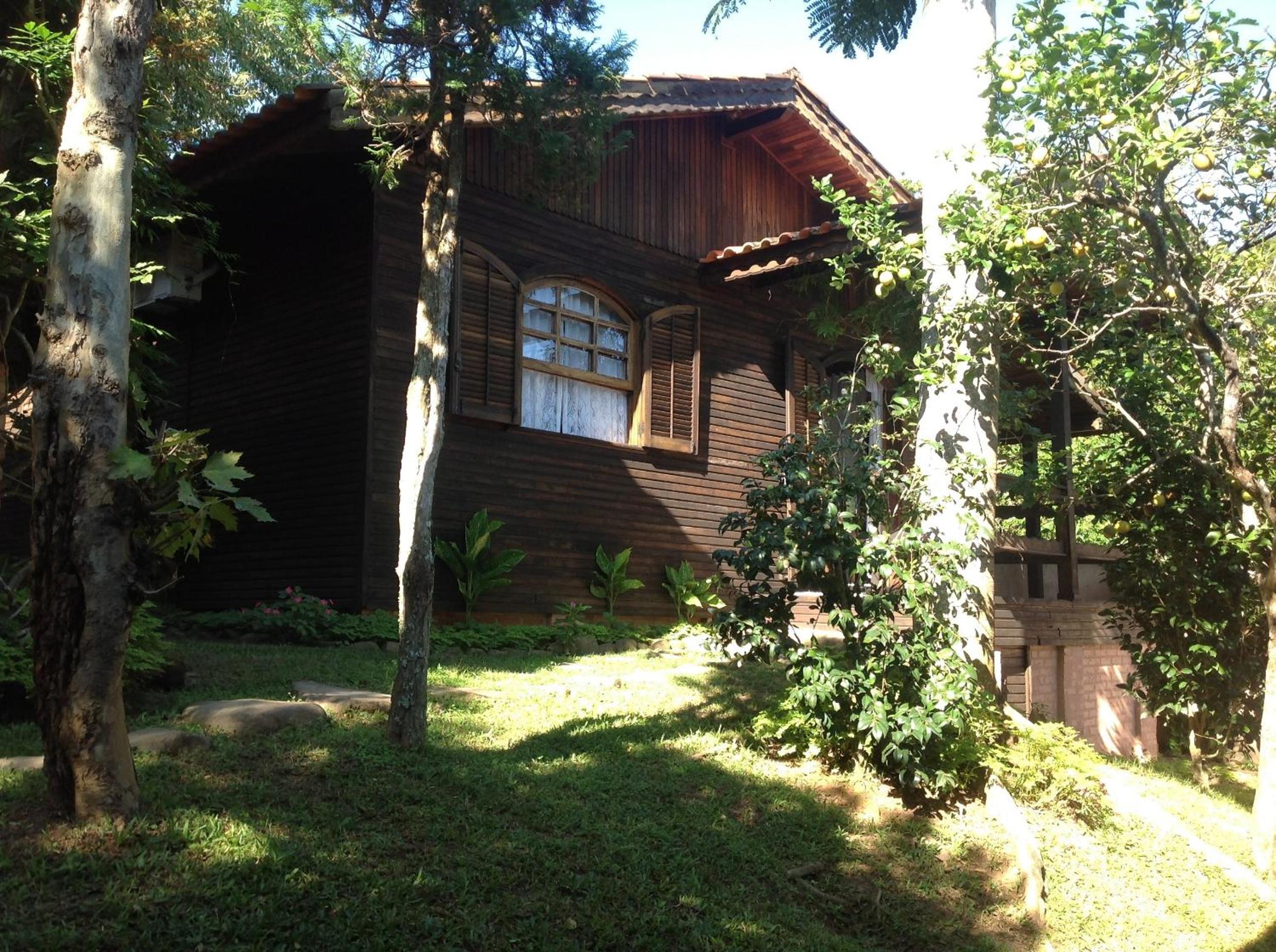 Photo 41