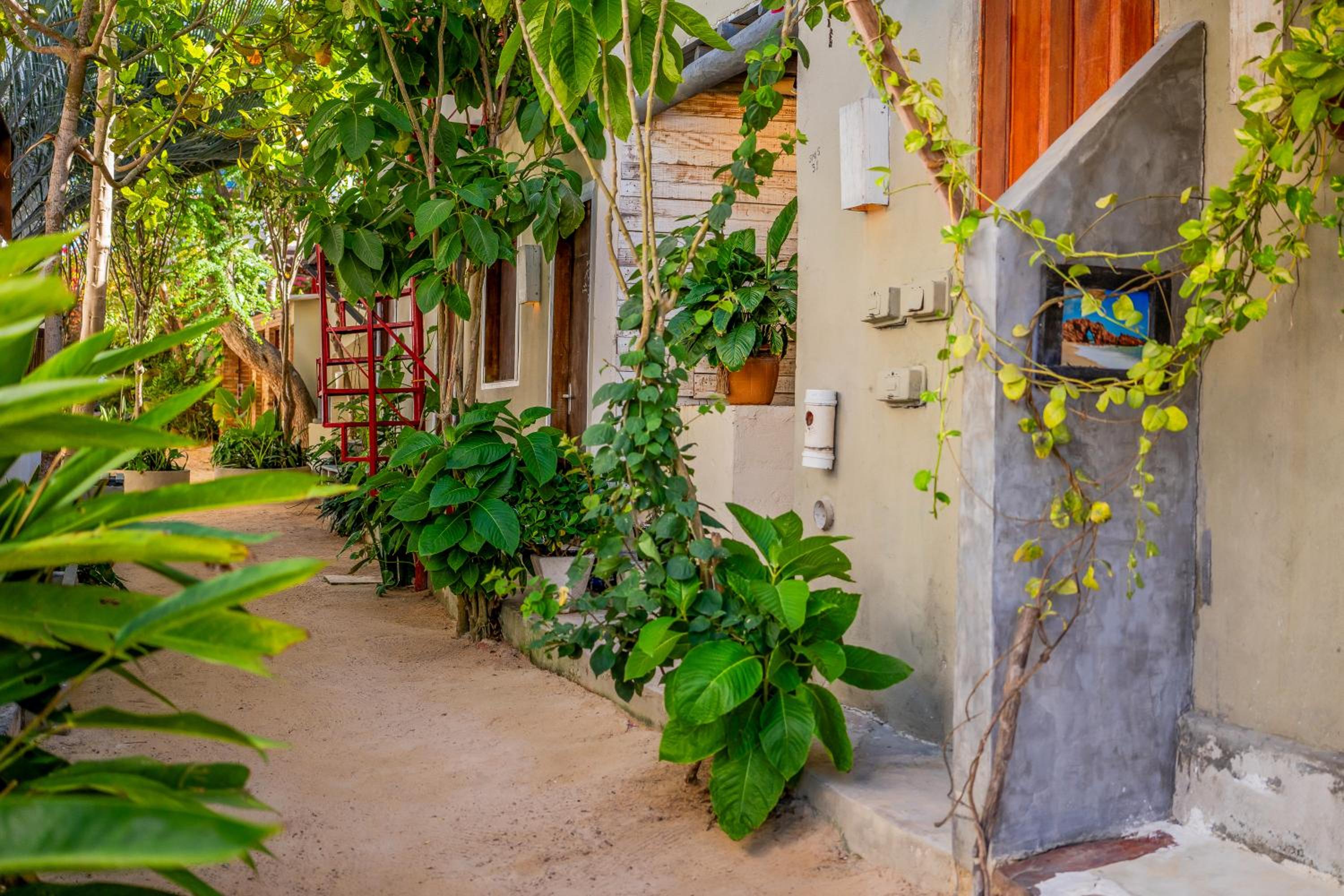 Hostel Jericoacoara