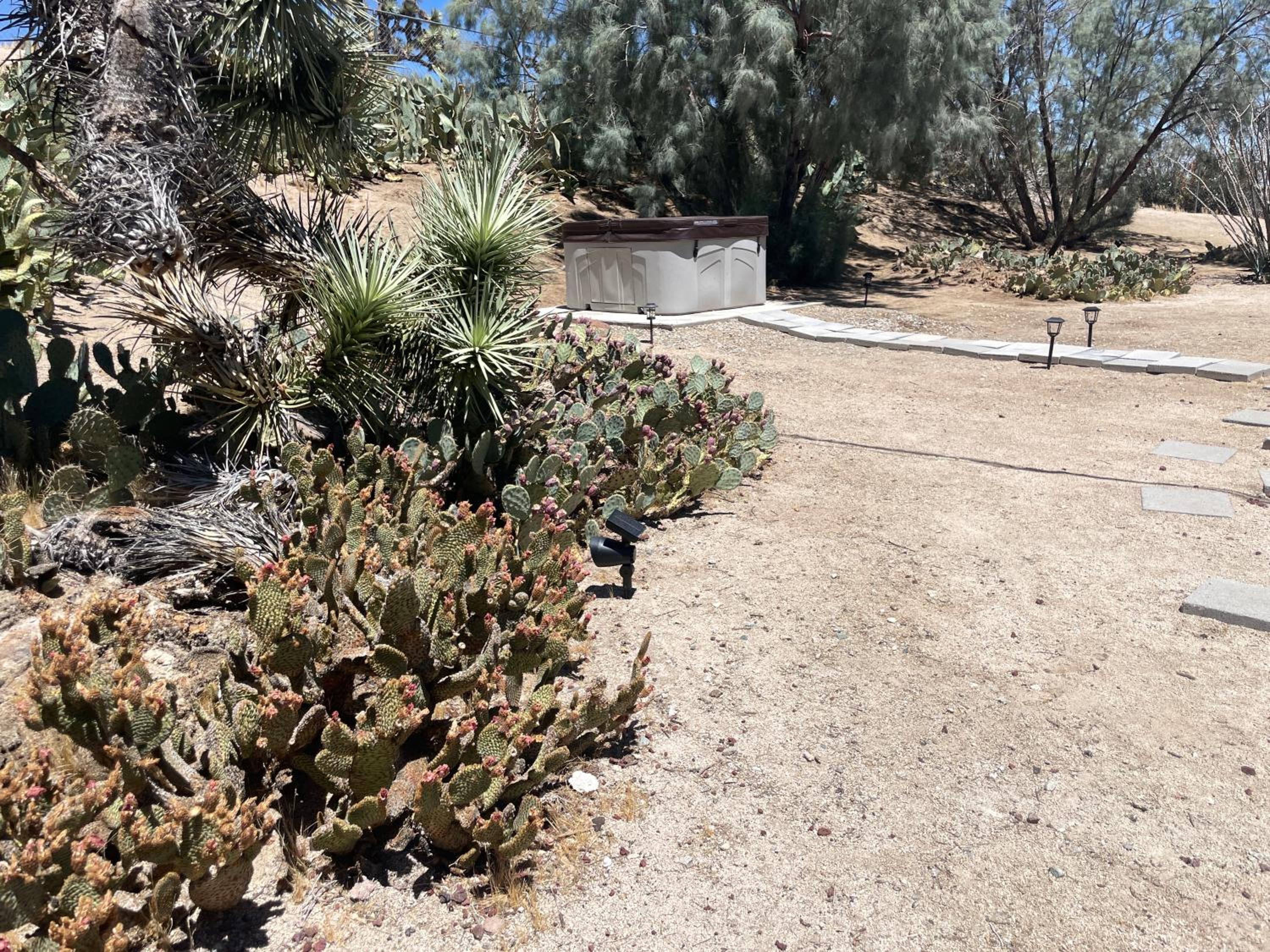 Mojave Desert Pied-a-terre - Property Image 6