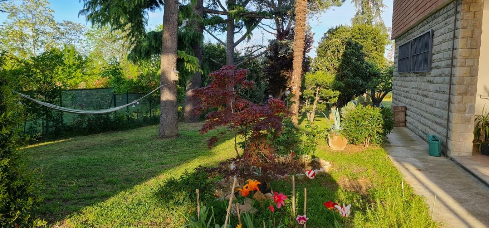 Casa Nostra en Imola — other