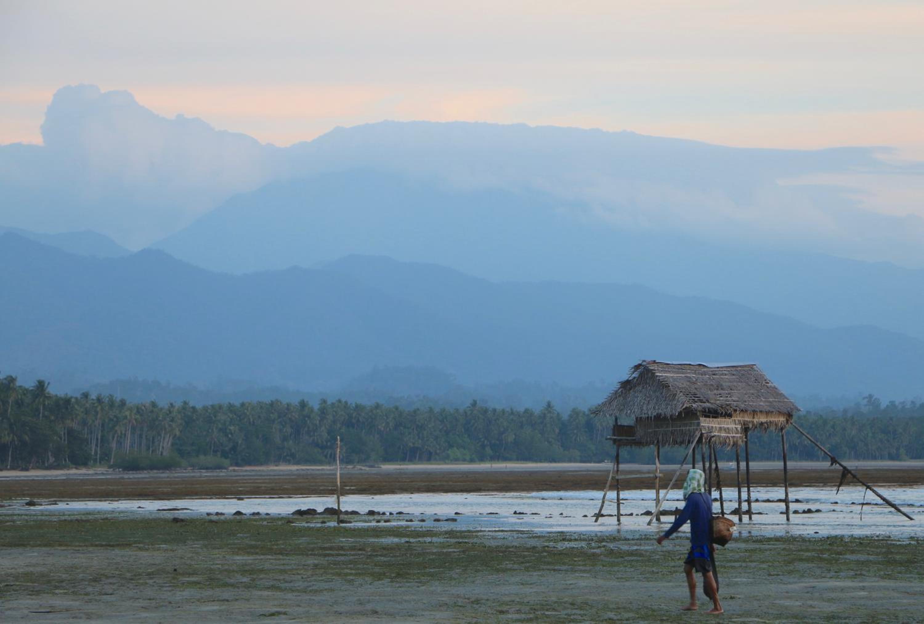 Palawan Ecolodge