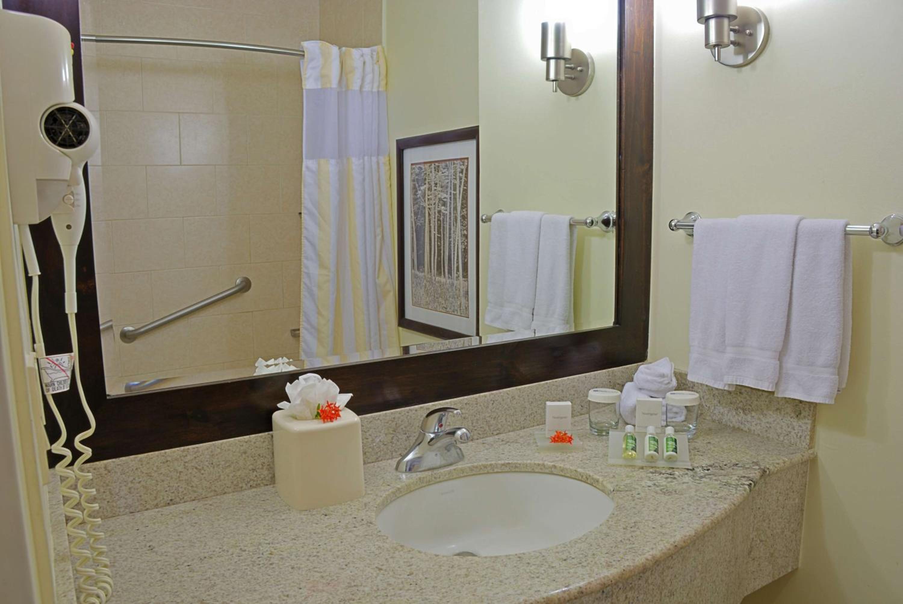 Guanacaste - Costa Rica Vacations - Hilton Garden Inn Guanacaste Airport - Property Image 2