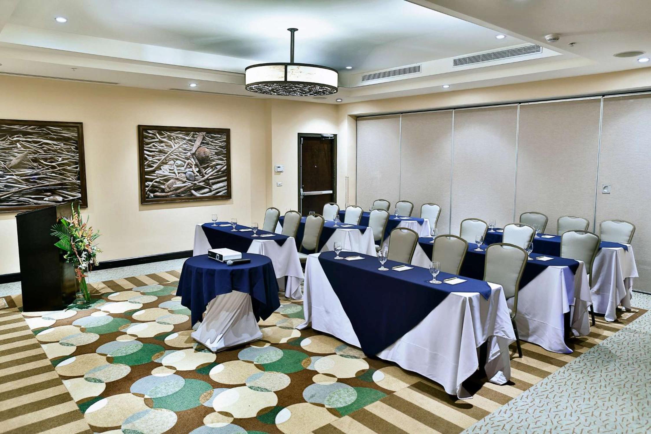 Guanacaste - Costa Rica Vacations - Hilton Garden Inn Guanacaste Airport - Property Image 9