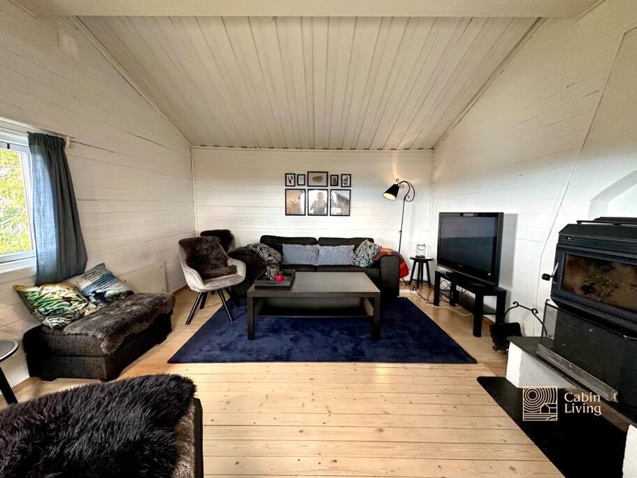 Large cabin Sjusjøen XC ski in out & lovely view view 3