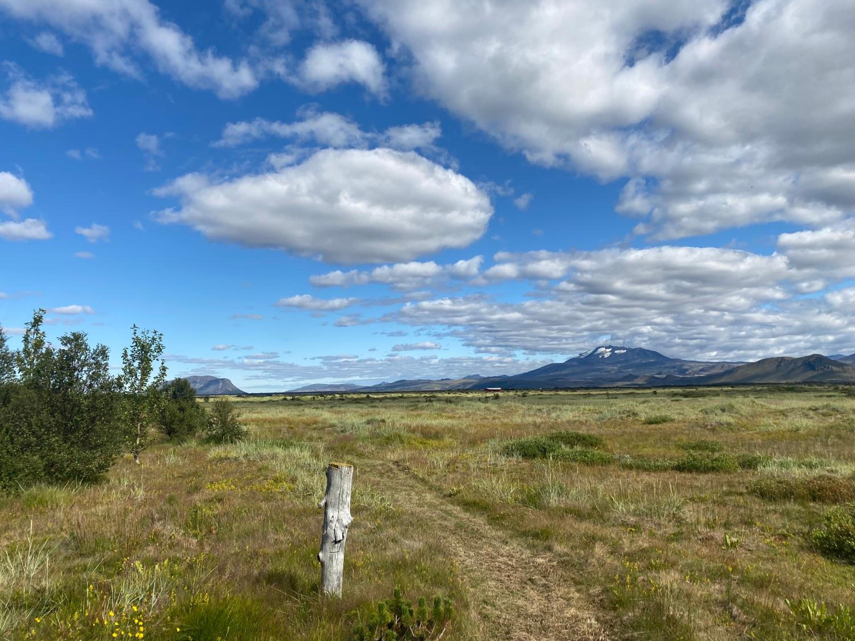 Log house with a view - Bjalki view 2