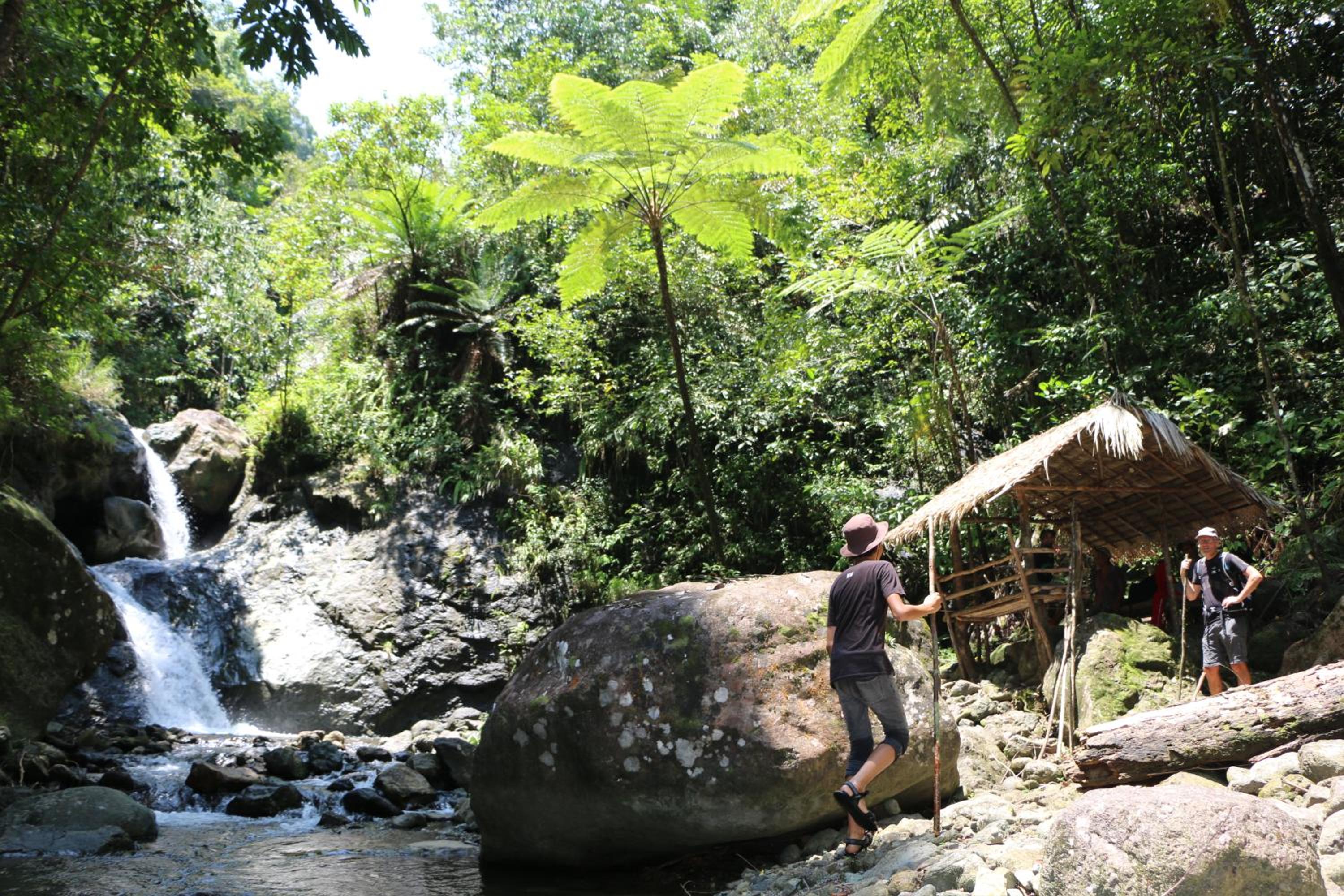 Palawan Ecolodge
