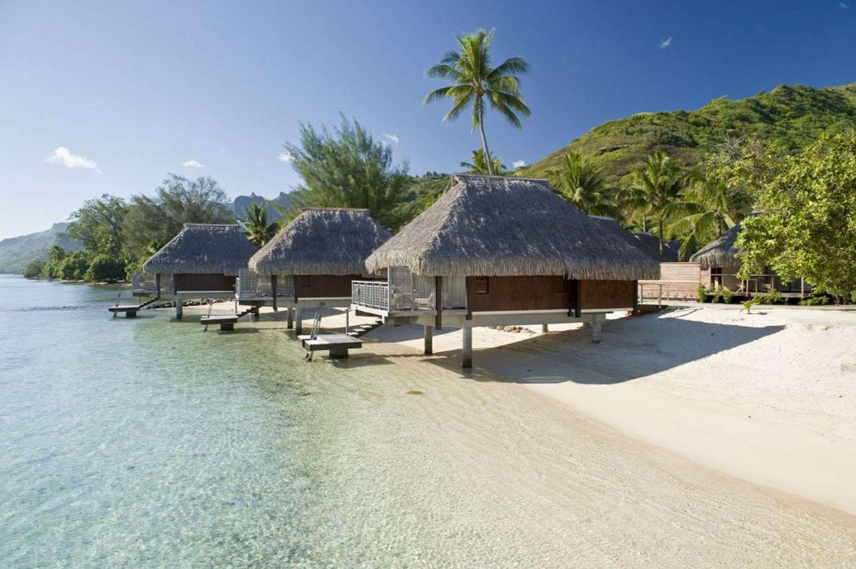Hilton Moorea Lagoon Resort  Spa - Property Image 50